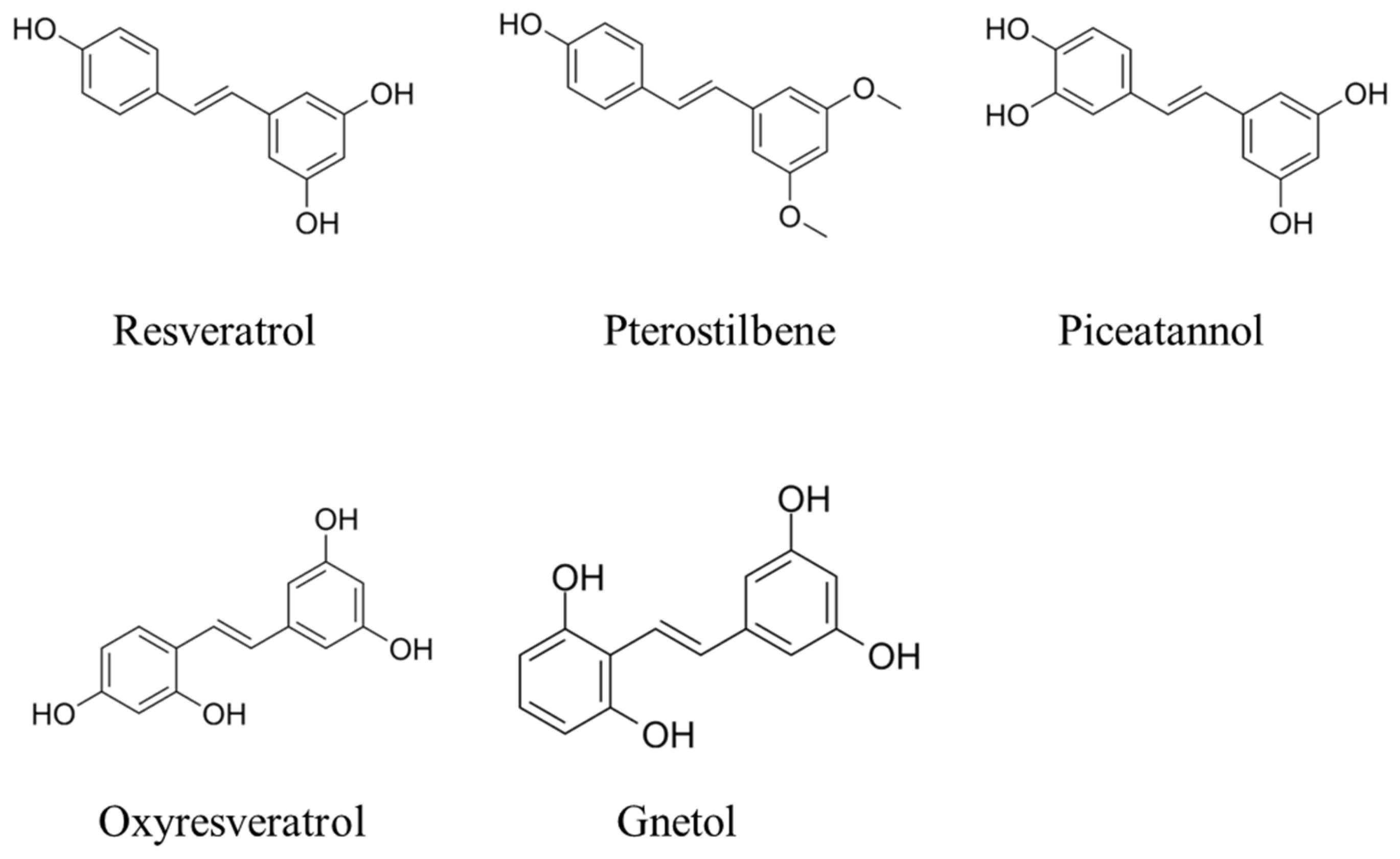 Animals 15 00417 g001