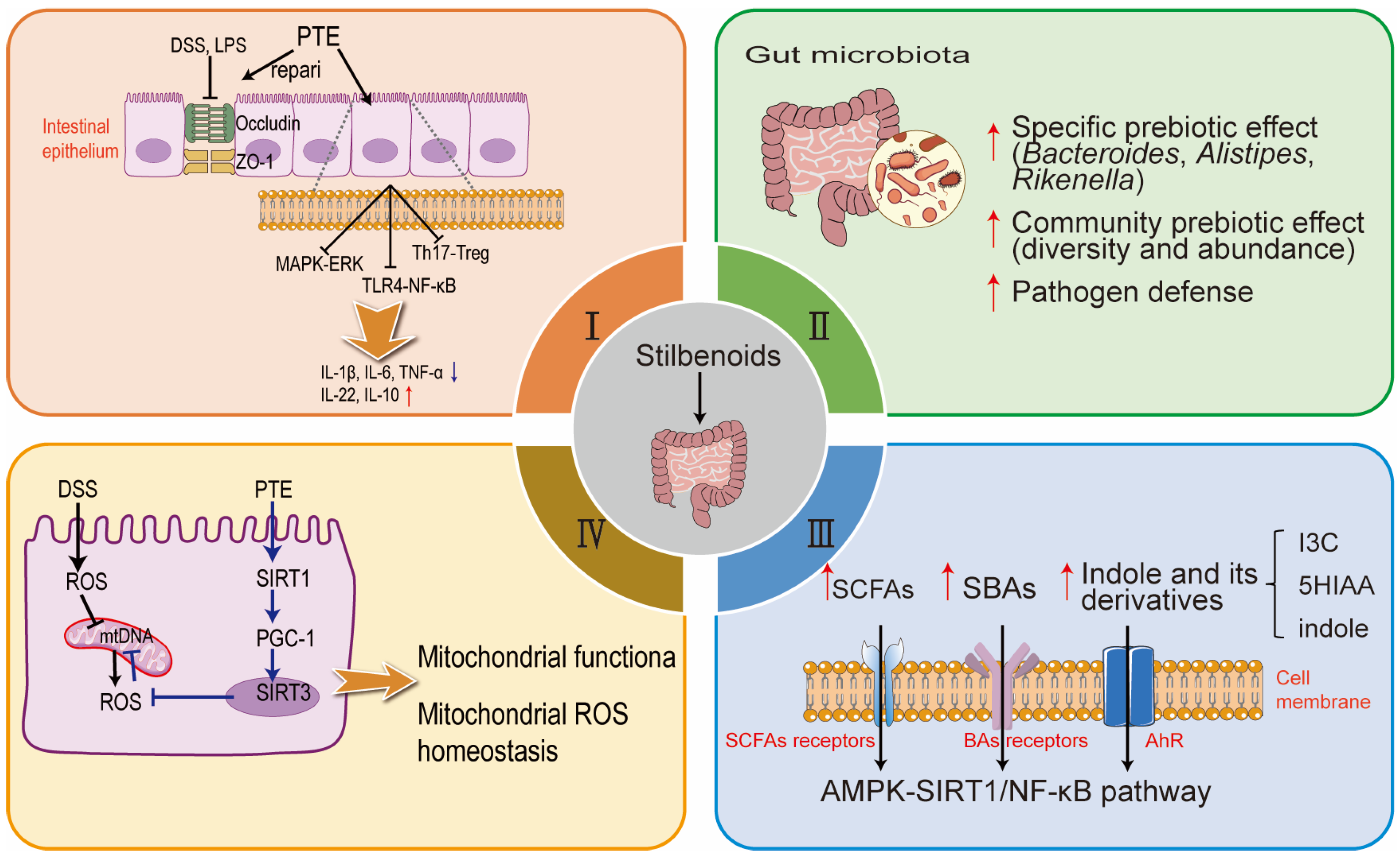 Animals 15 00417 g002