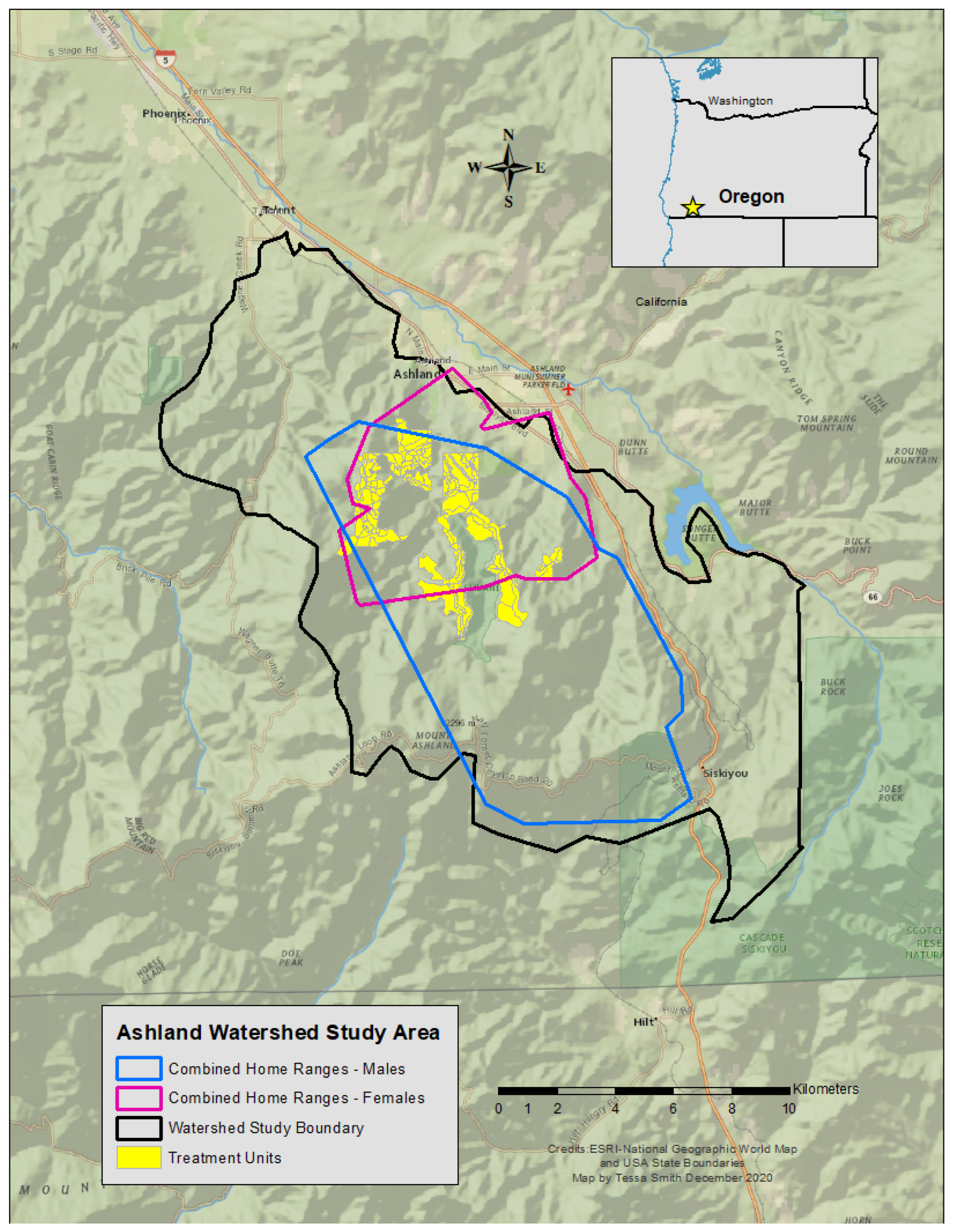 Animals 15 00434 g001