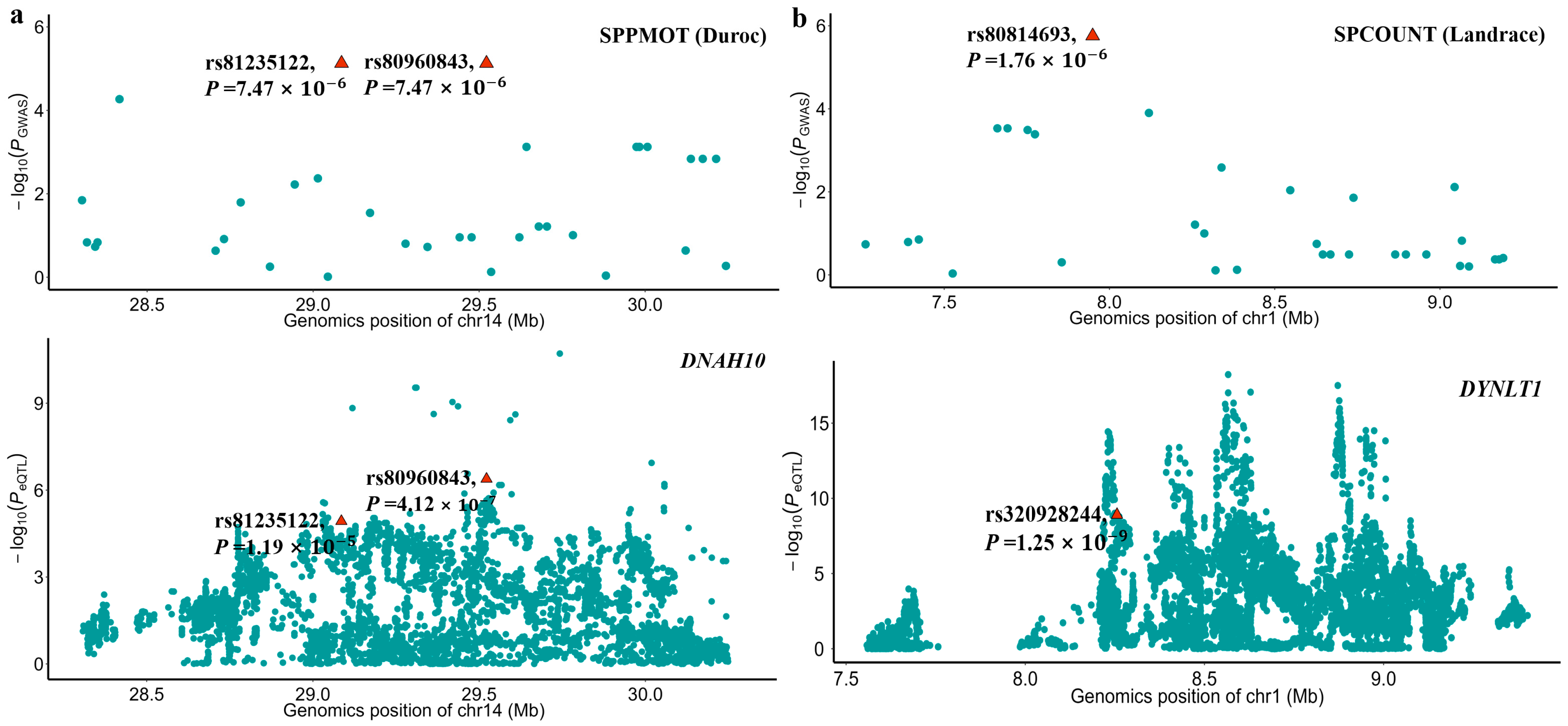 Animals 15 00438 g005