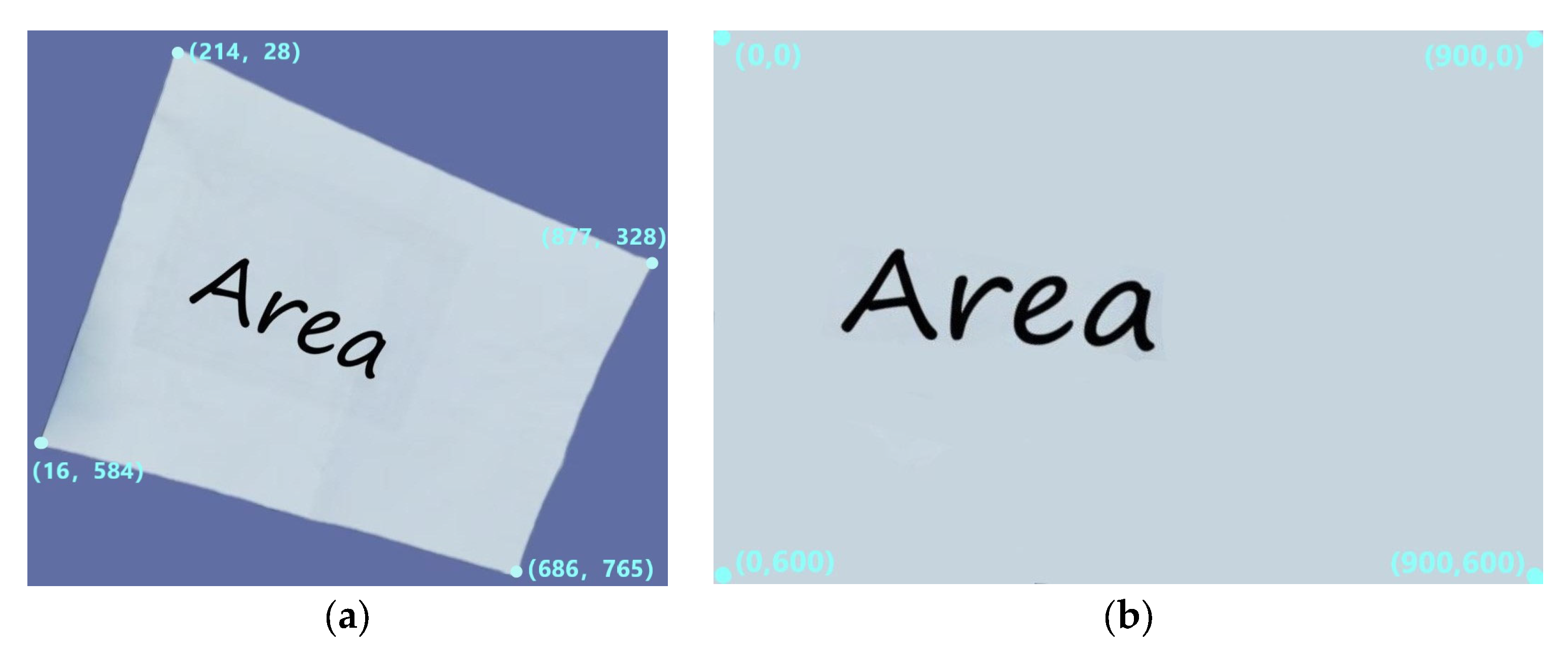 Animals 15 00456 g005