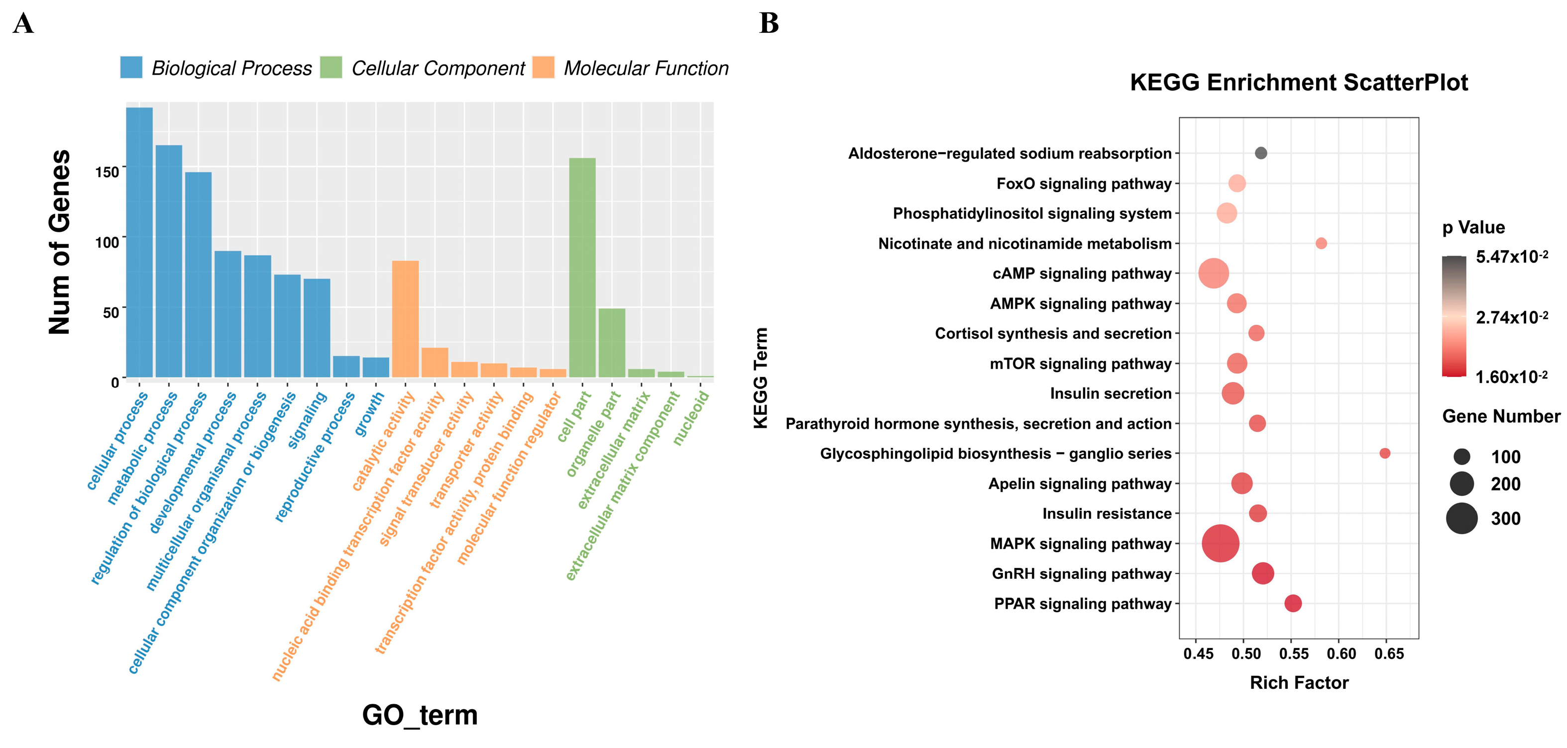 Animals 15 00506 g003