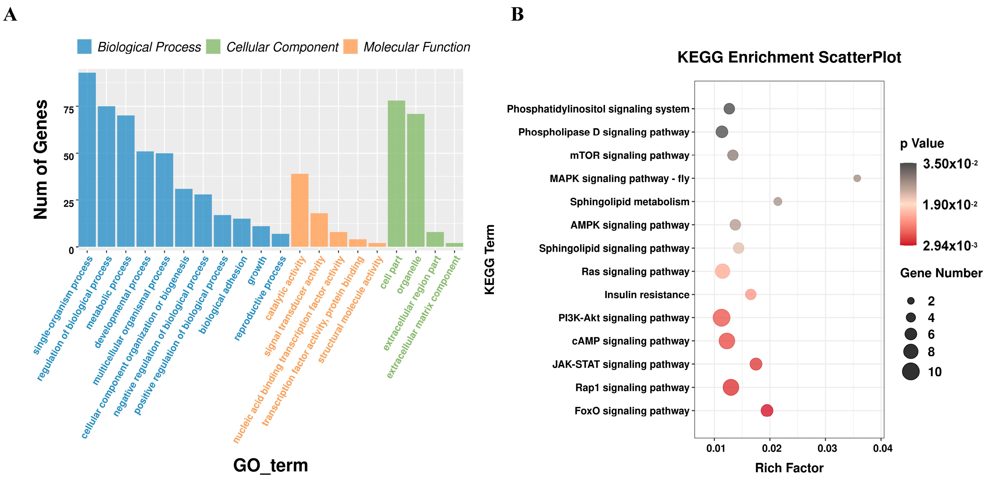 Animals 15 00506 g005