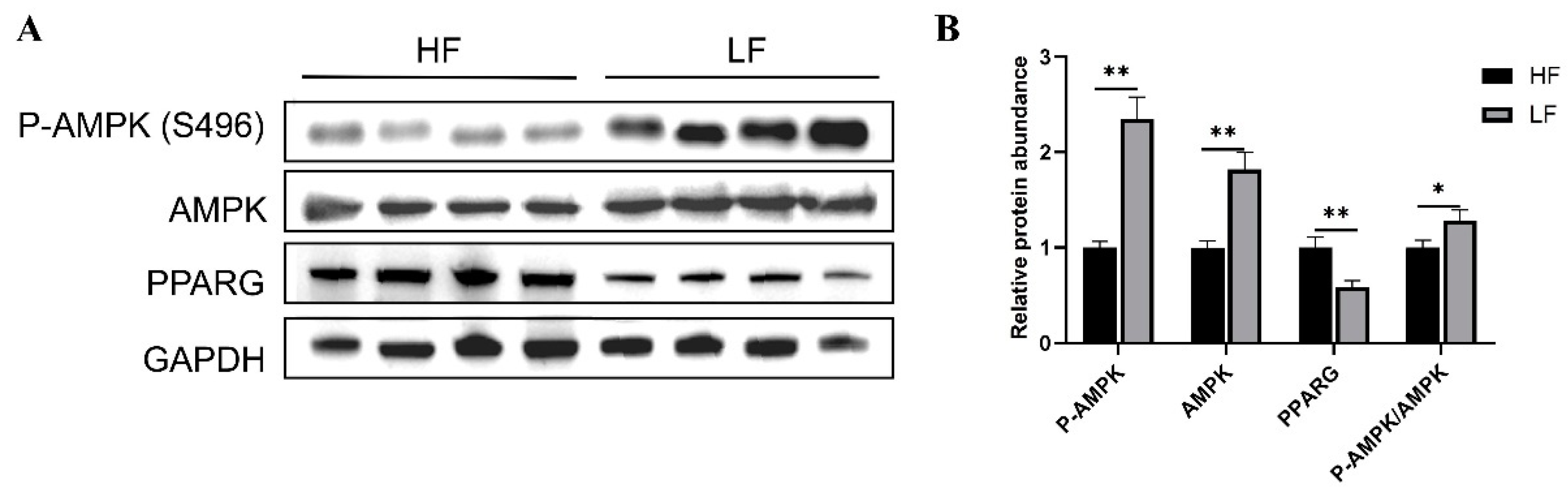 Animals 15 00506 g010