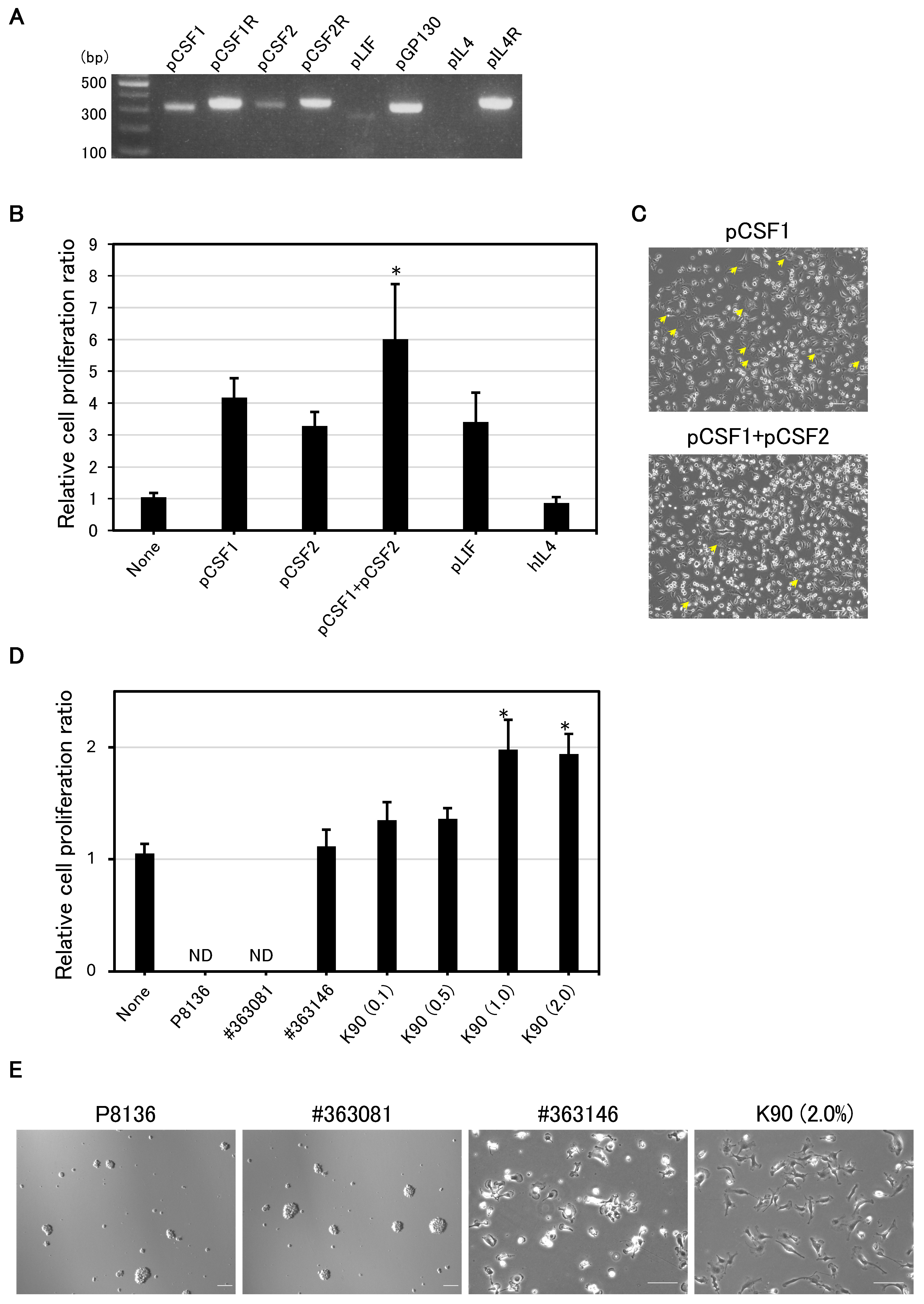 Animals 15 00558 g001