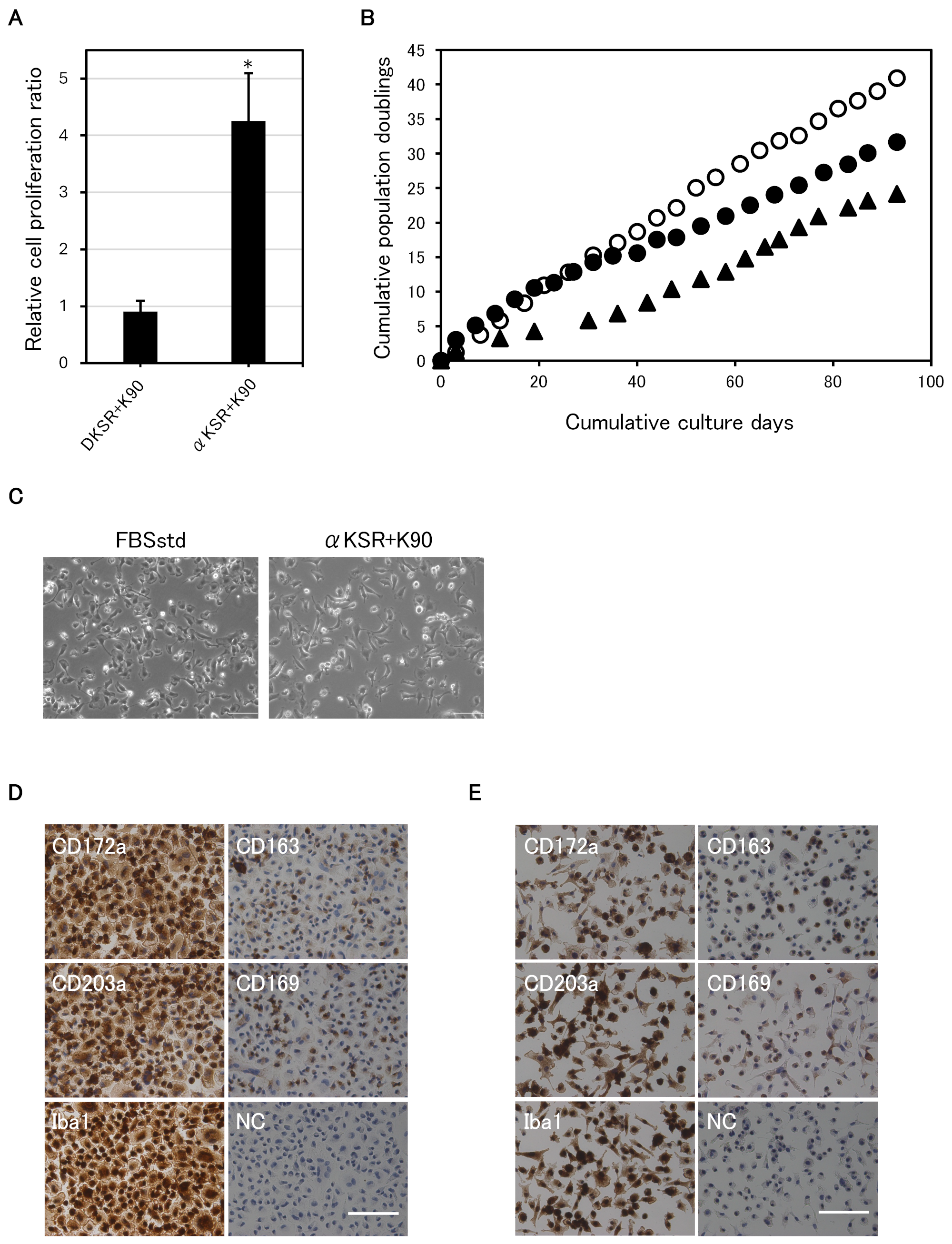 Animals 15 00558 g002