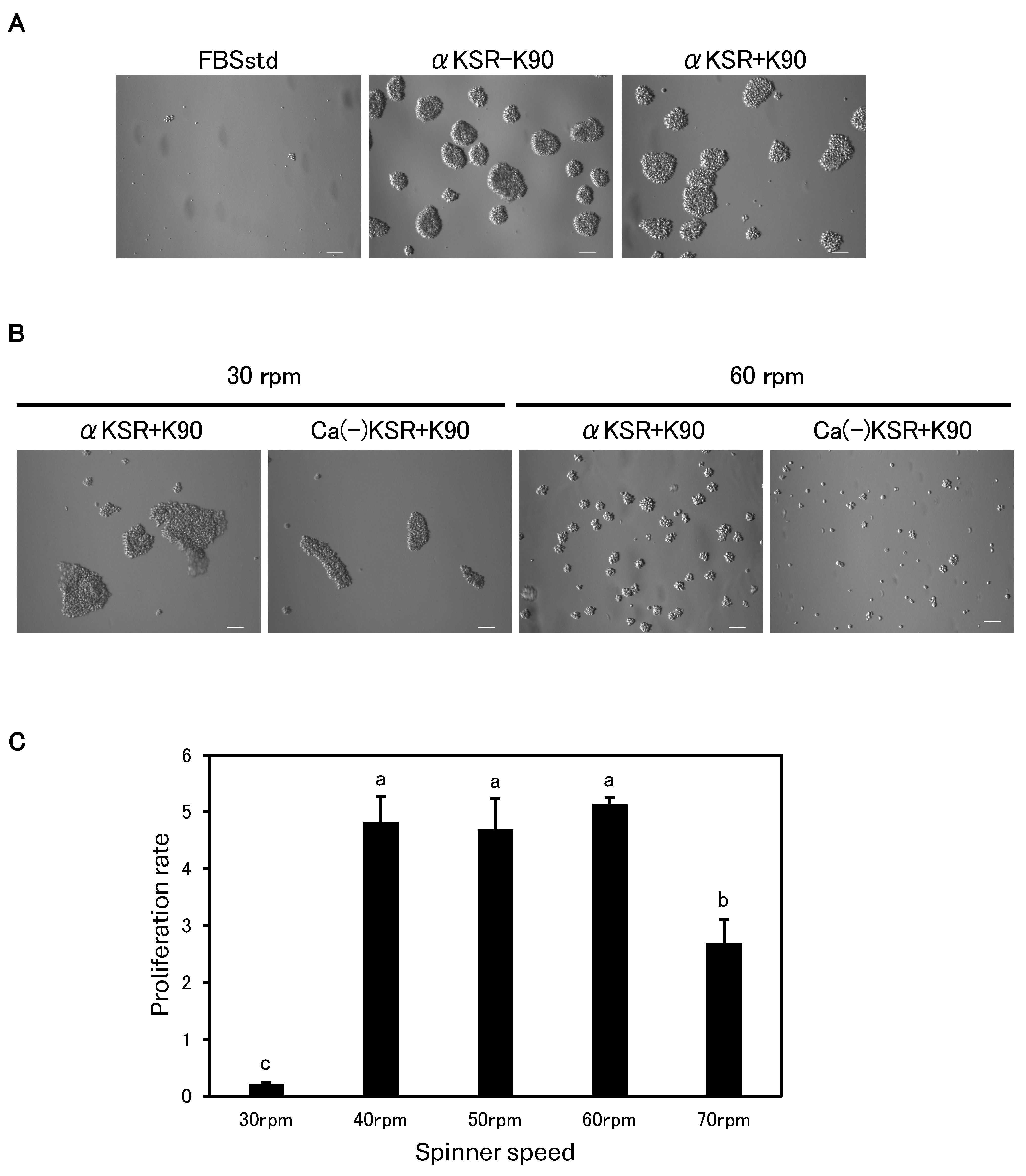 Animals 15 00558 g003