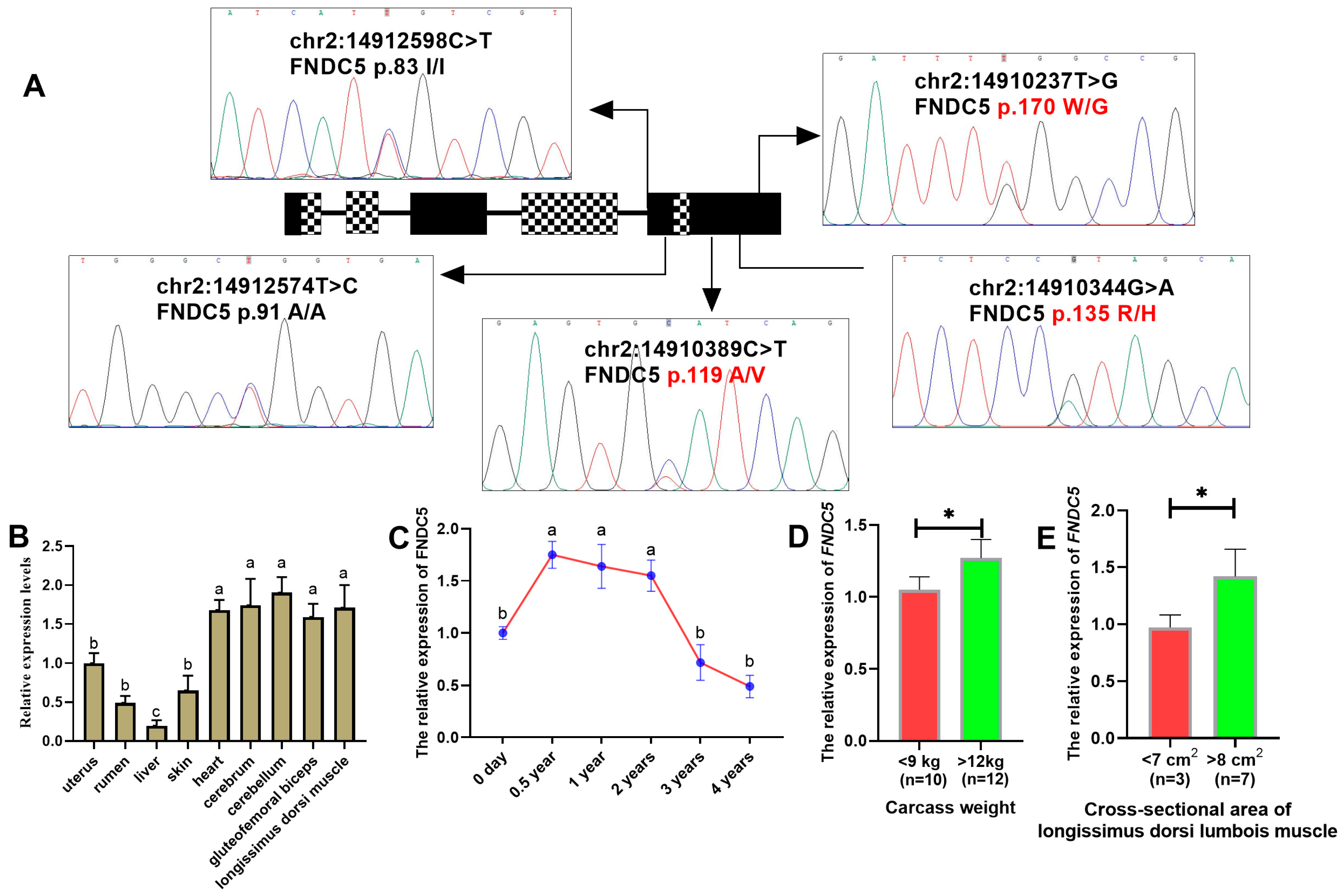 Animals 15 00565 g001