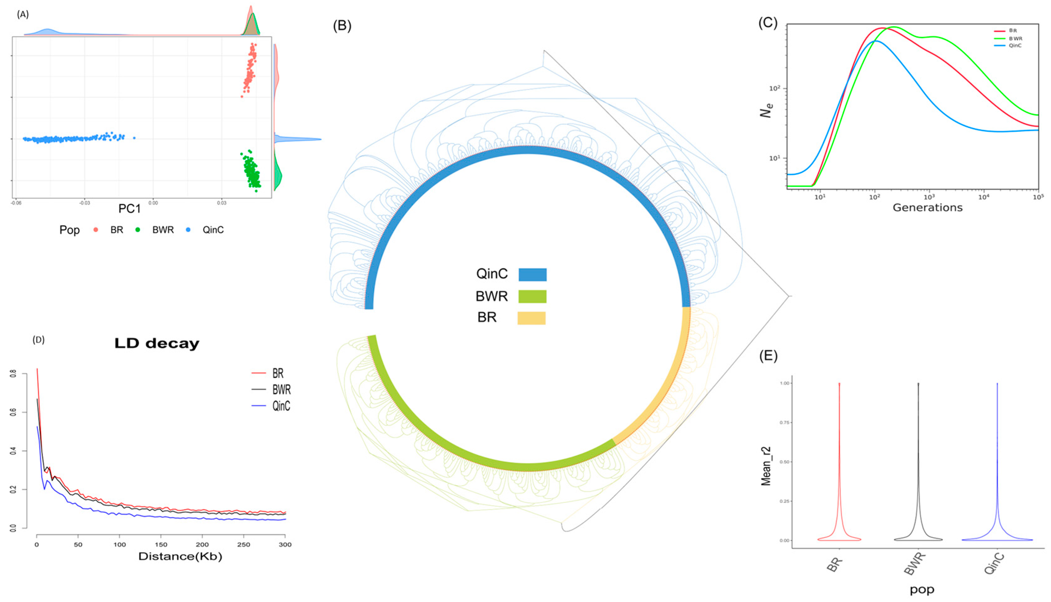 Animals 15 00608 g001