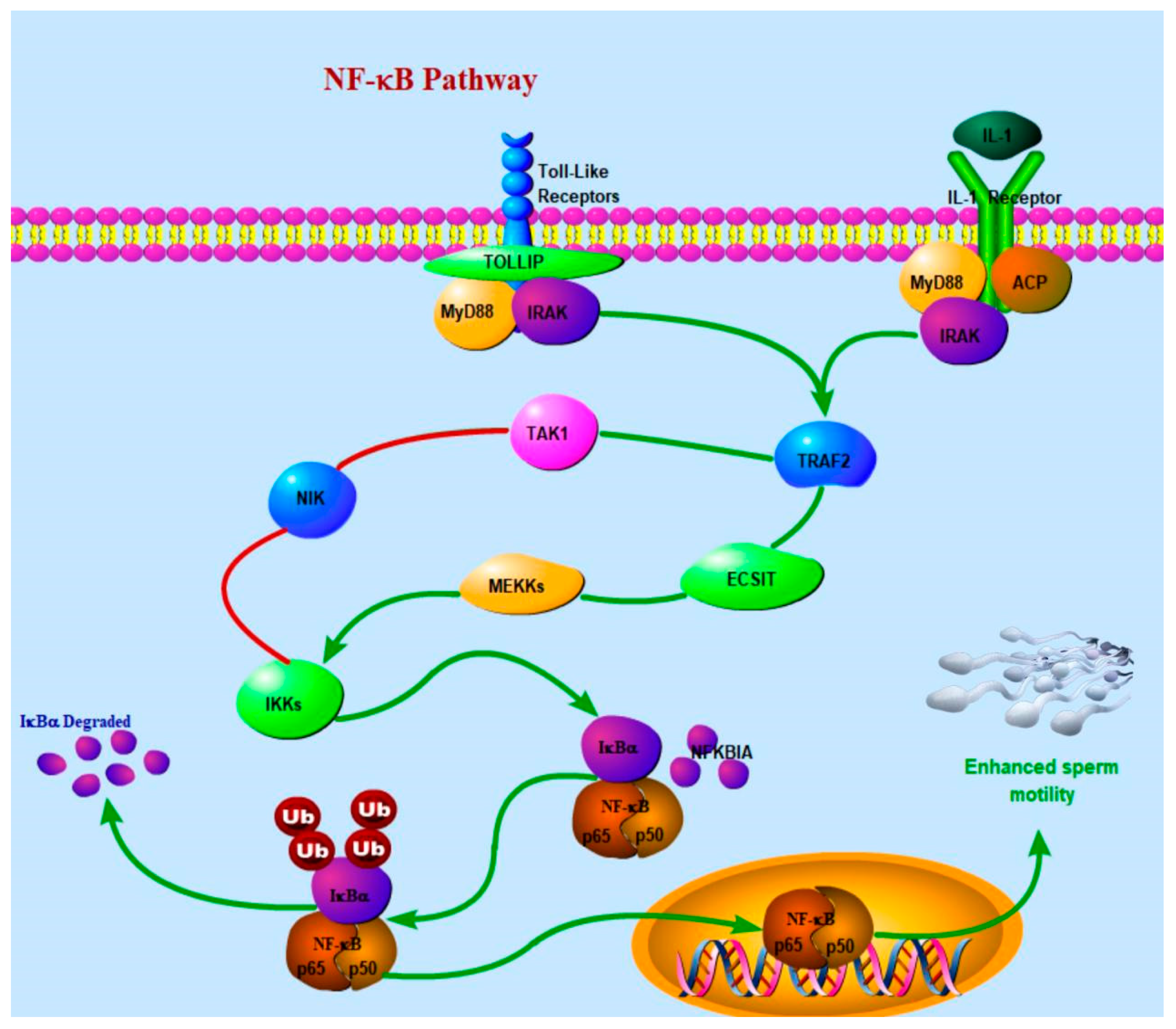 Animals 15 00608 g005