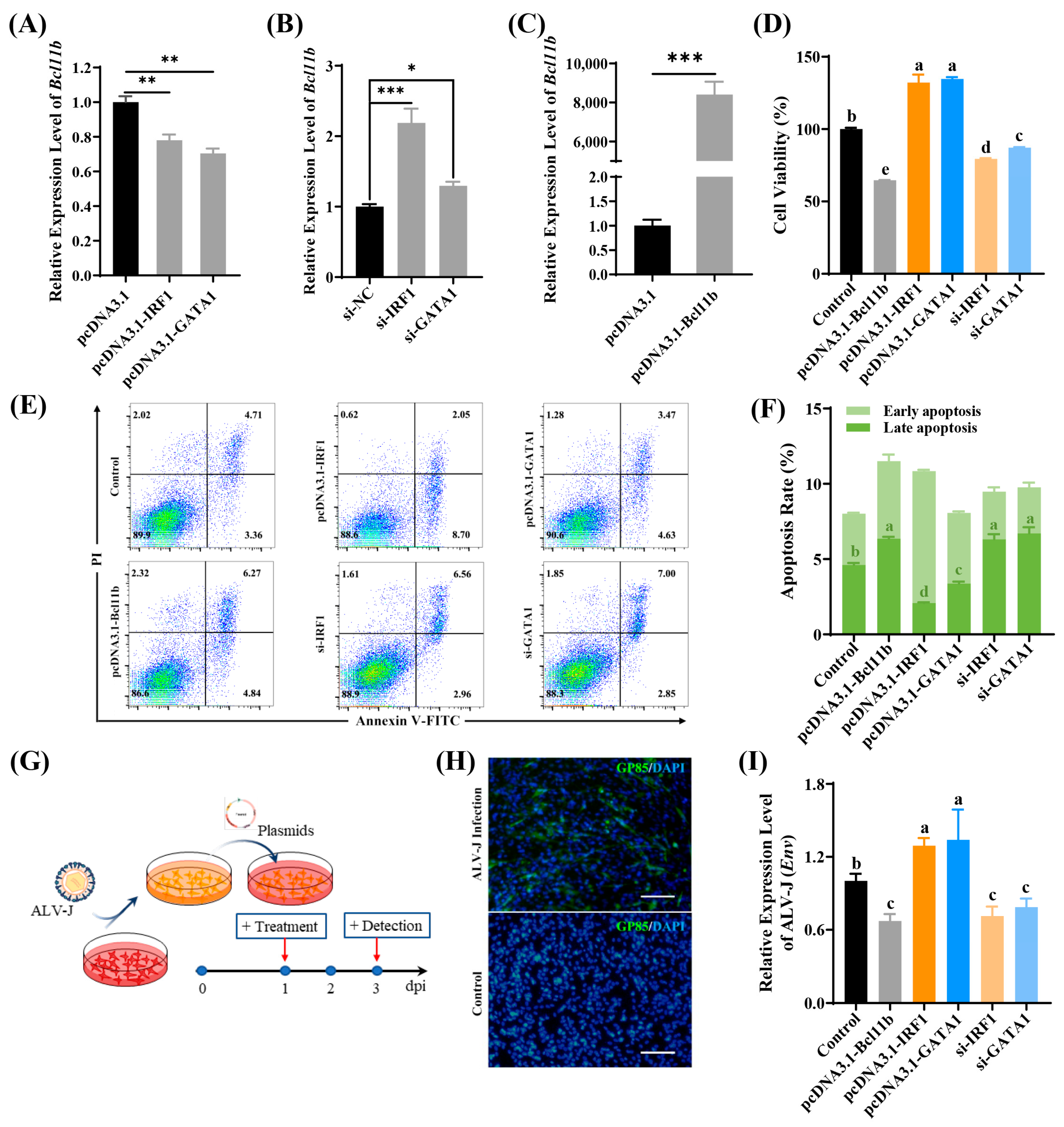 Animals 15 00665 g005