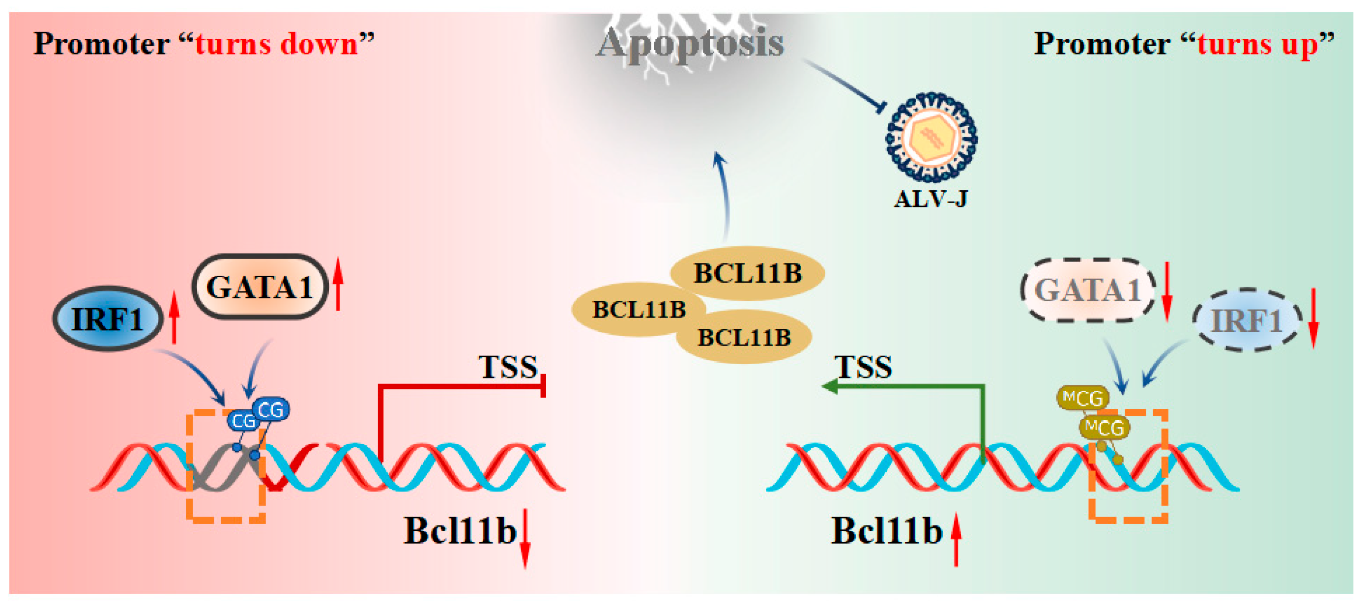 Animals 15 00665 g007