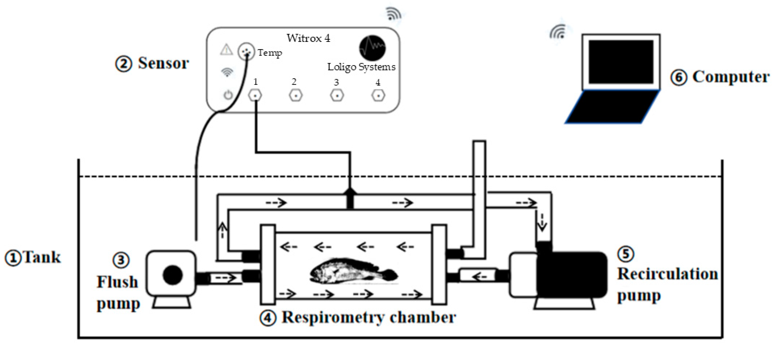 Animals 15 00714 g001