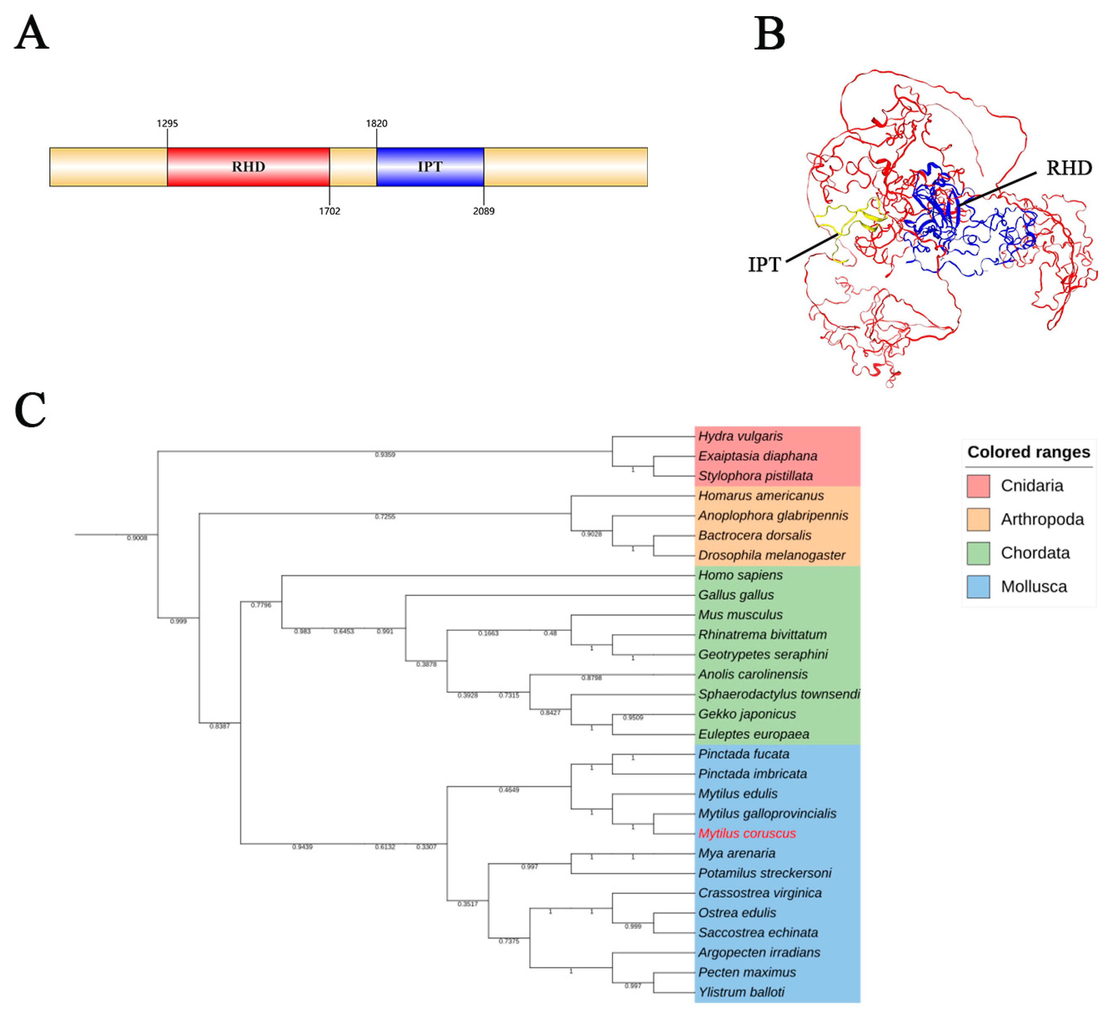 Animals 15 00726 g001