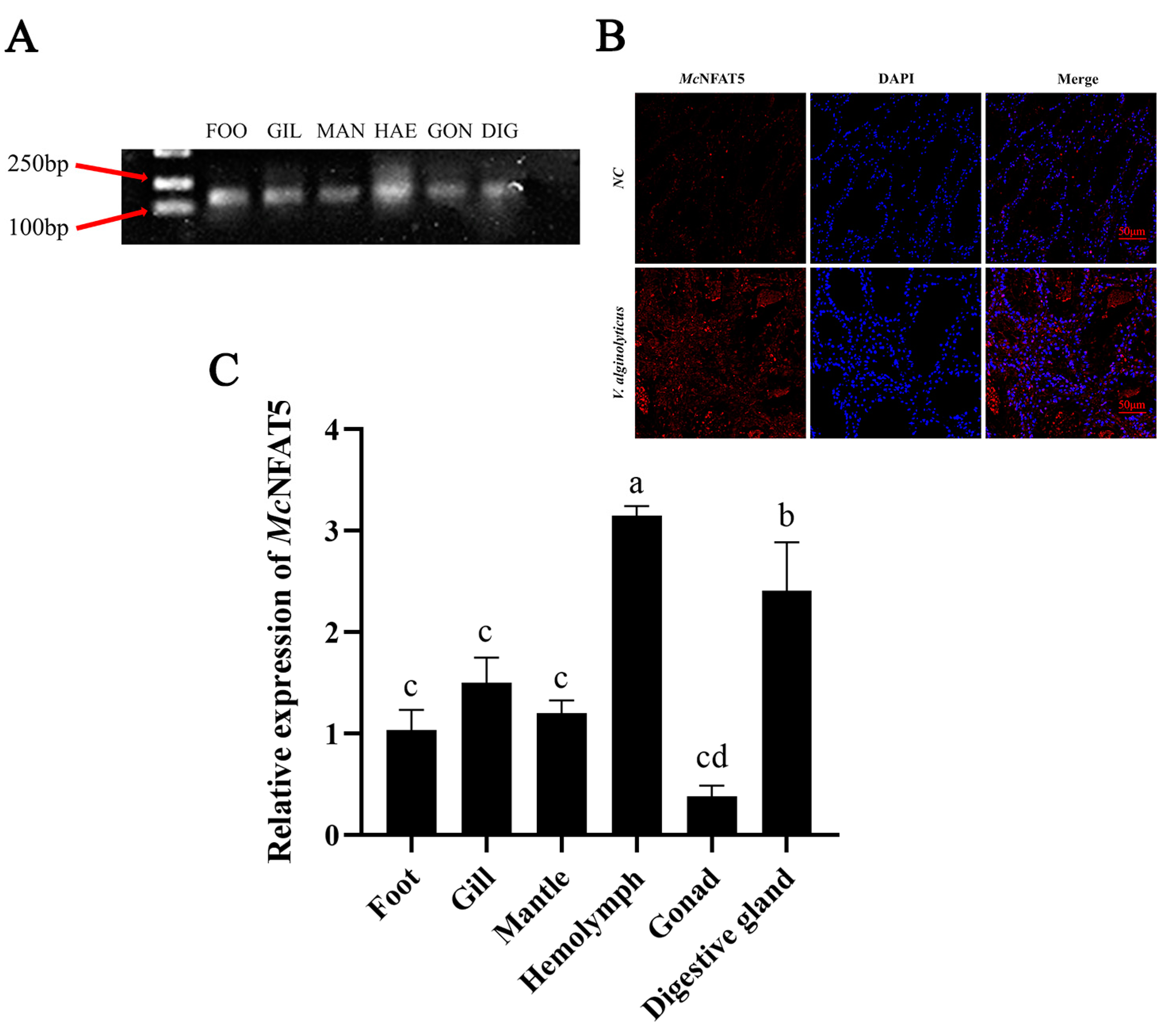 Animals 15 00726 g002
