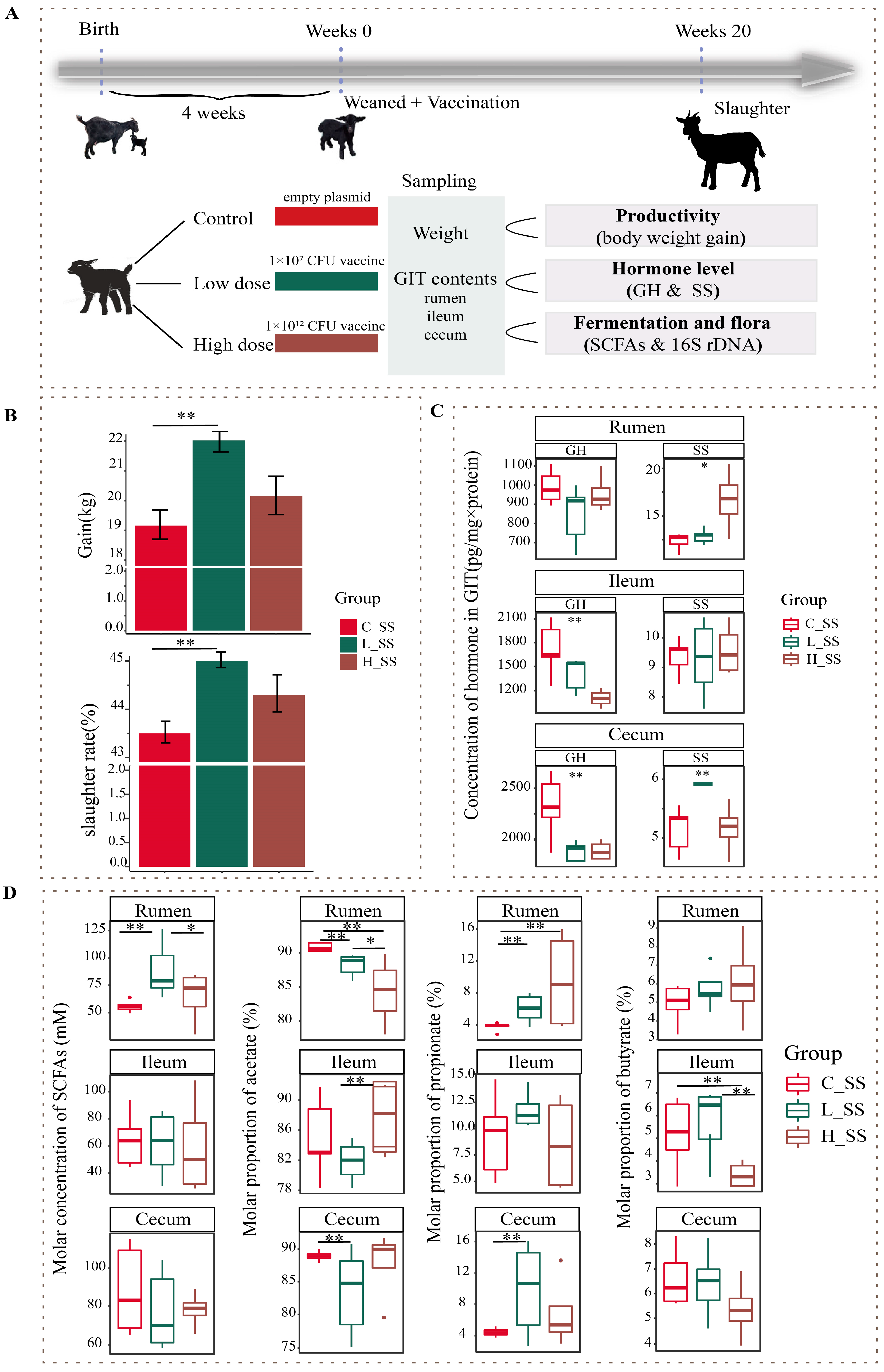 Animals 15 00728 g001