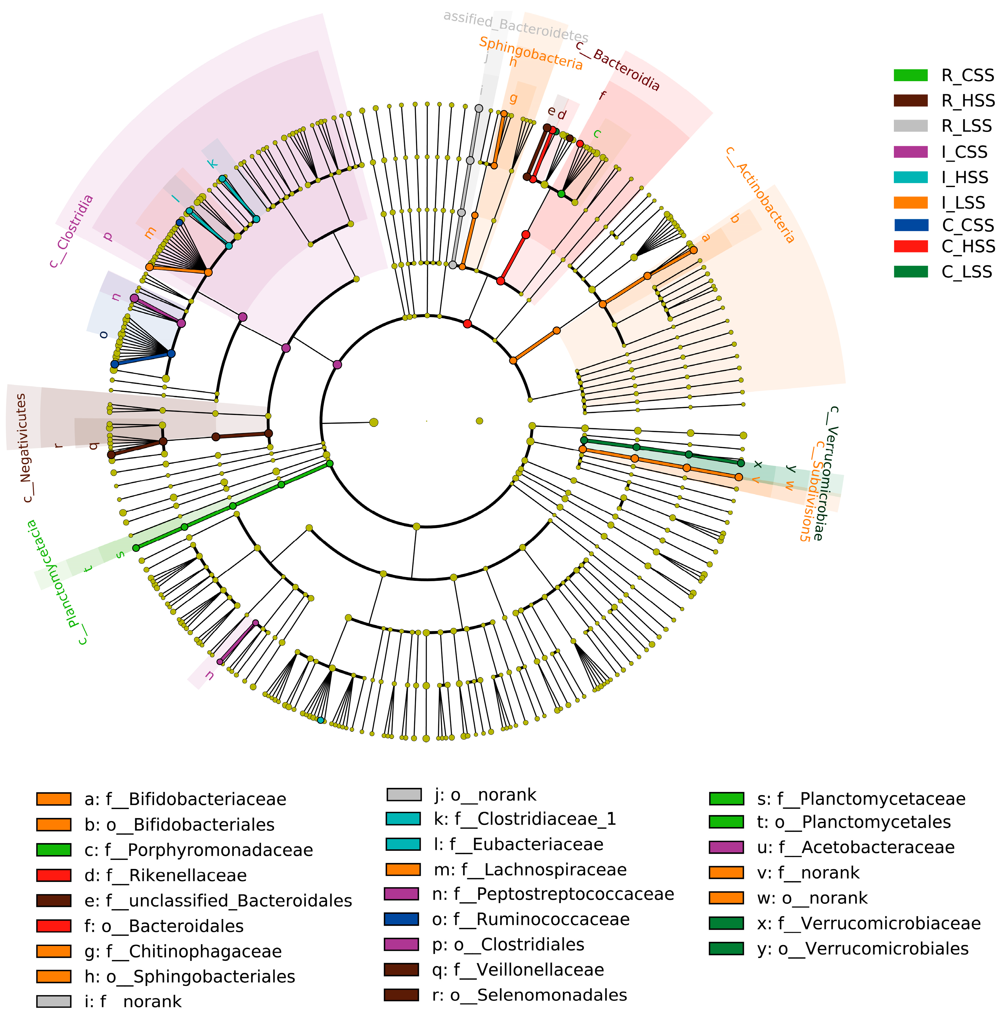 Animals 15 00728 g004