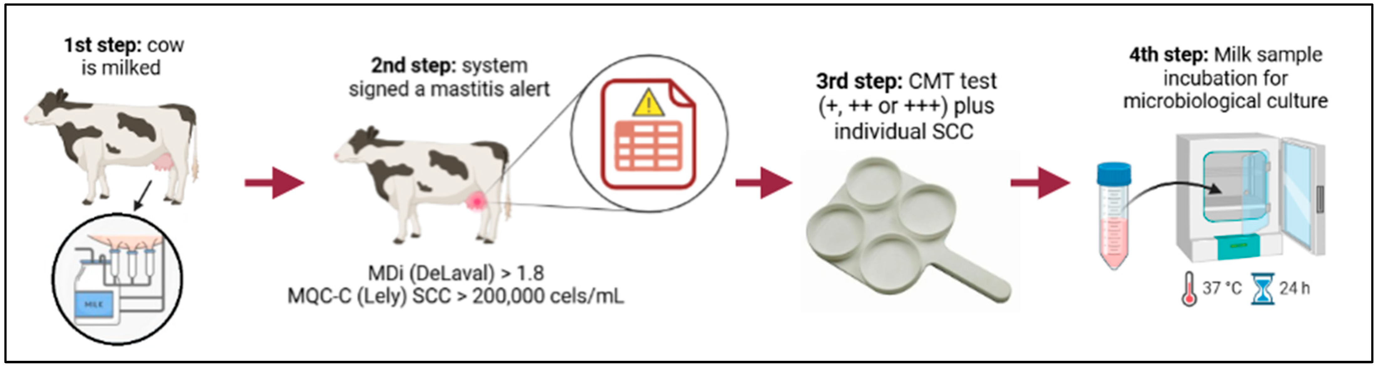 Animals 15 00776 g001