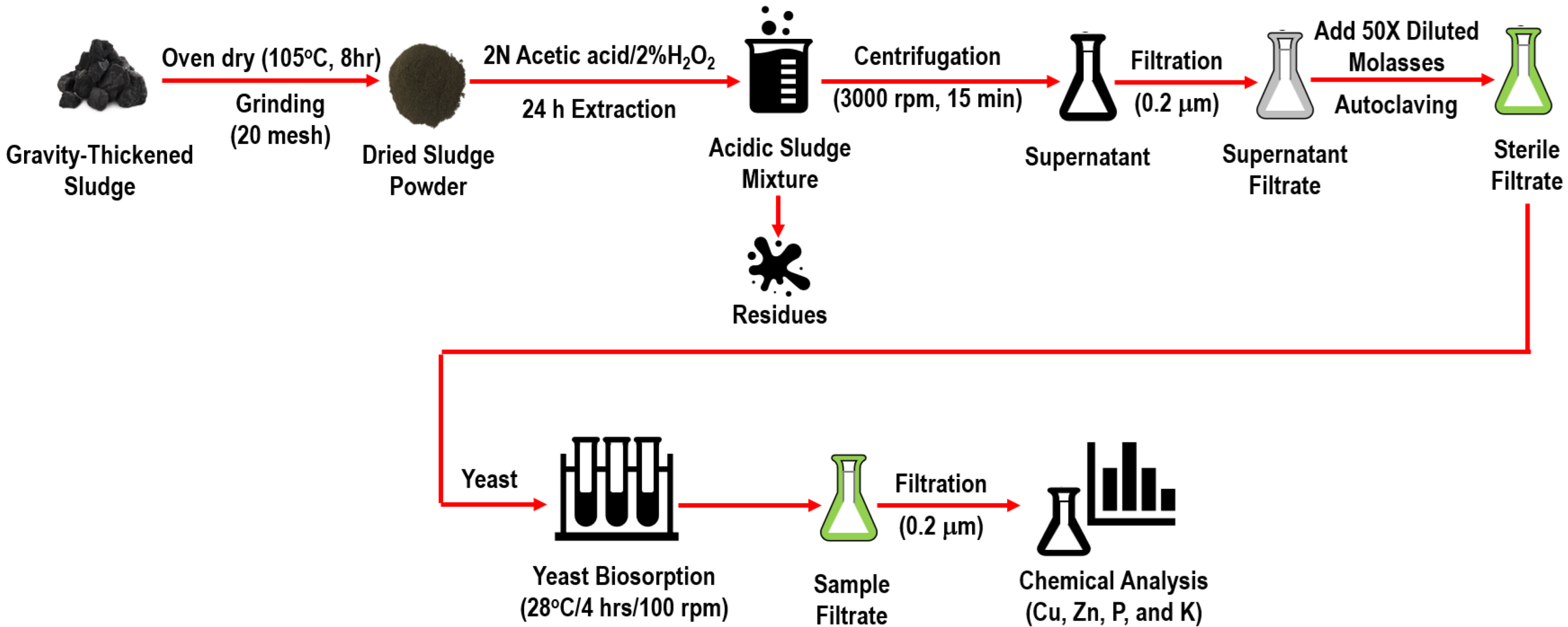 Animals 15 00794 g001