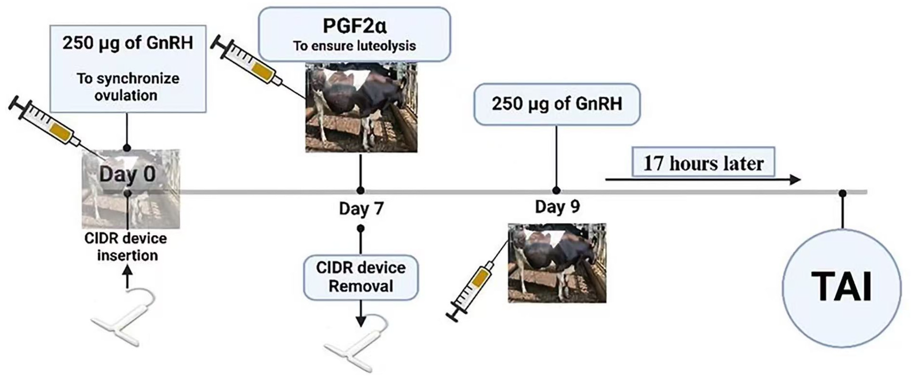 Animals 15 00816 g001