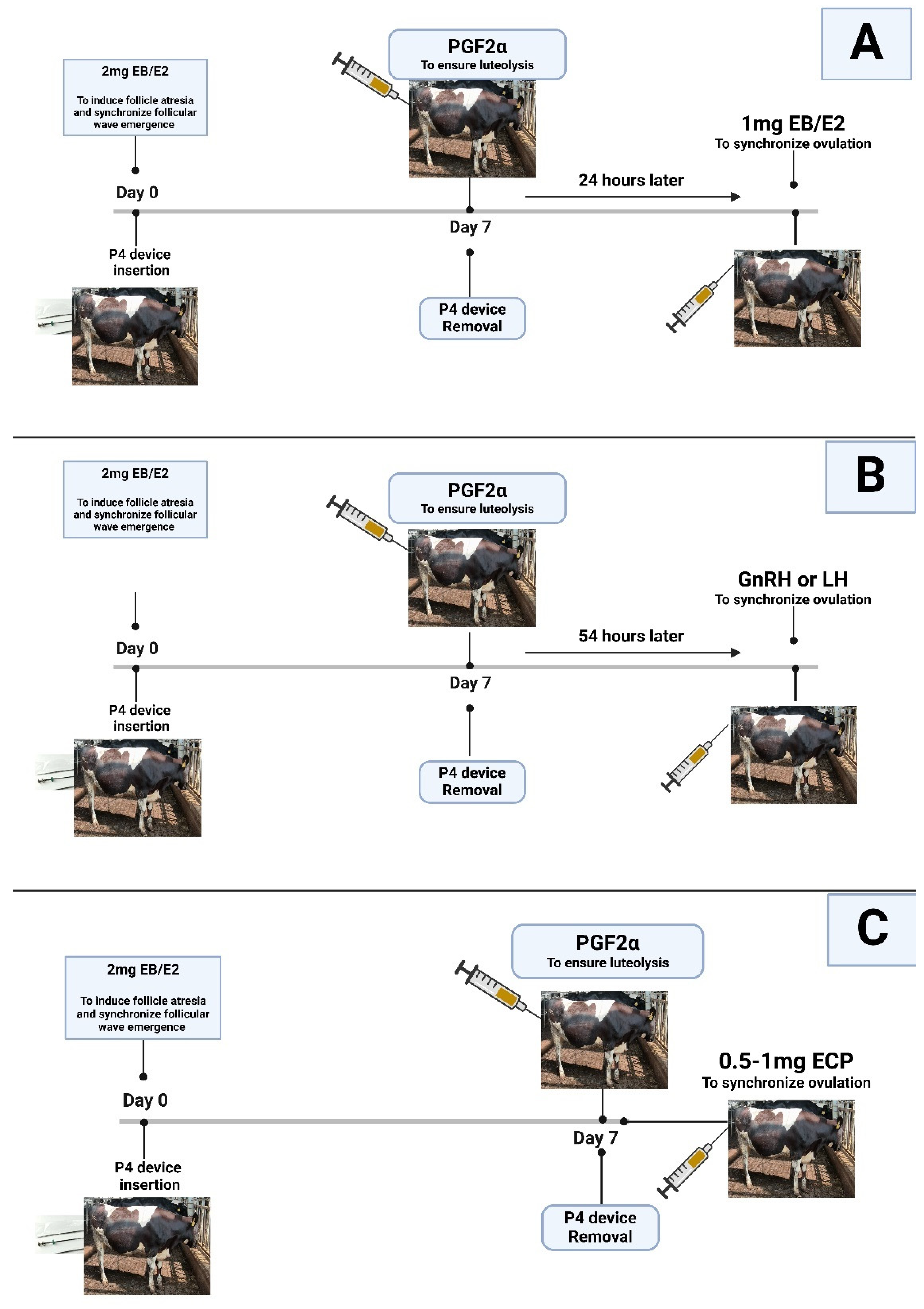 Animals 15 00816 g002