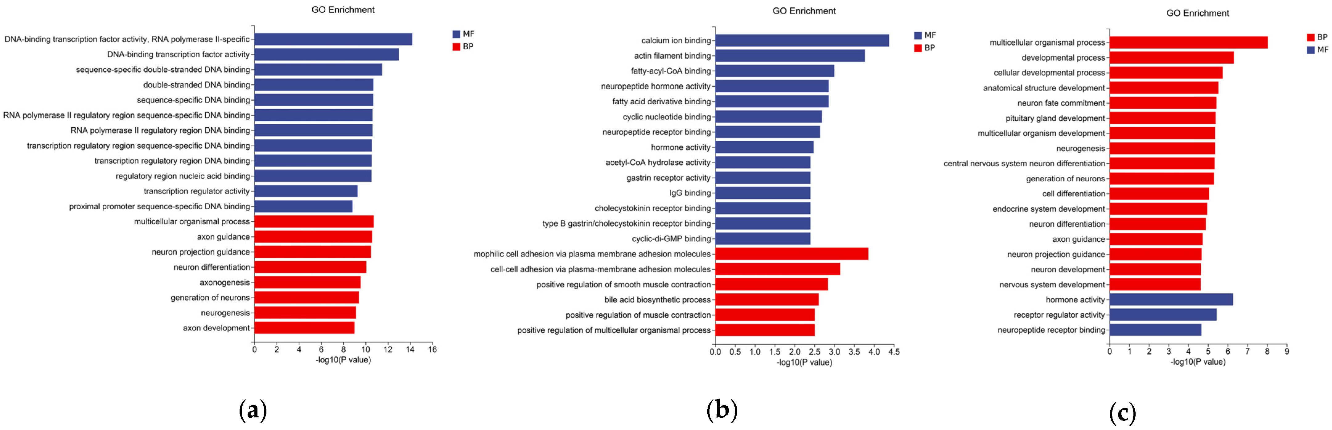 Animals 15 00823 g002 Animals 15 00823 g002