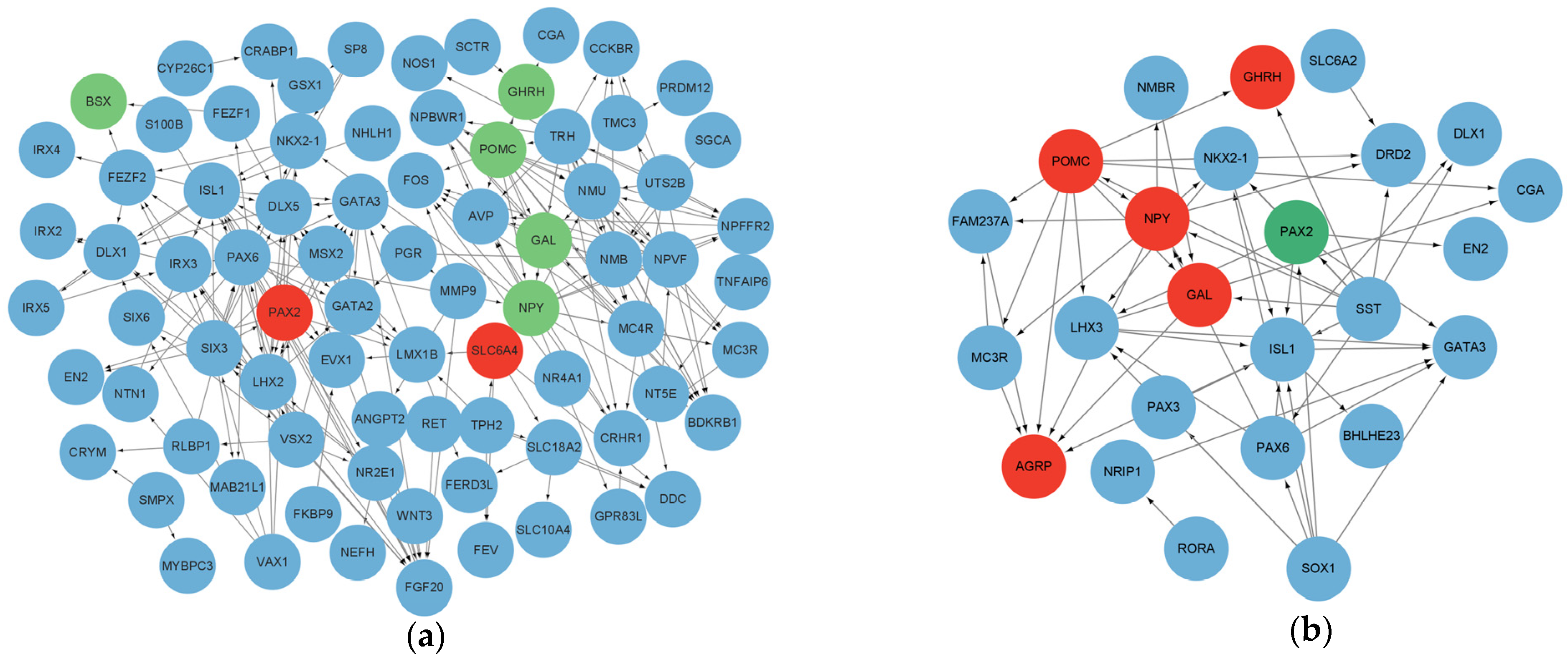 Animals 15 00823 g005 Animals 15 00823 g005