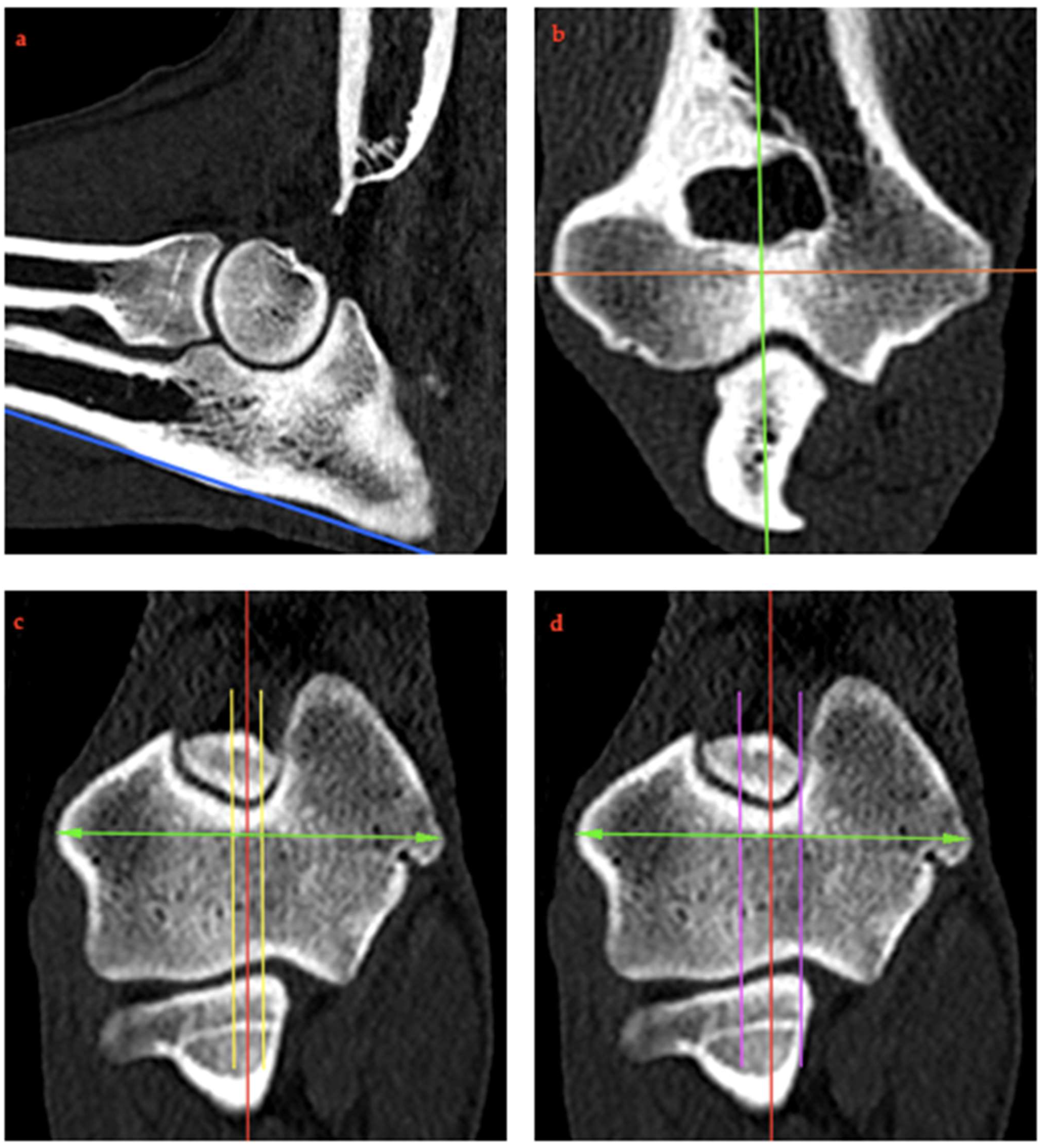 Animals 15 00921 g002 Animals 15 00921 g002