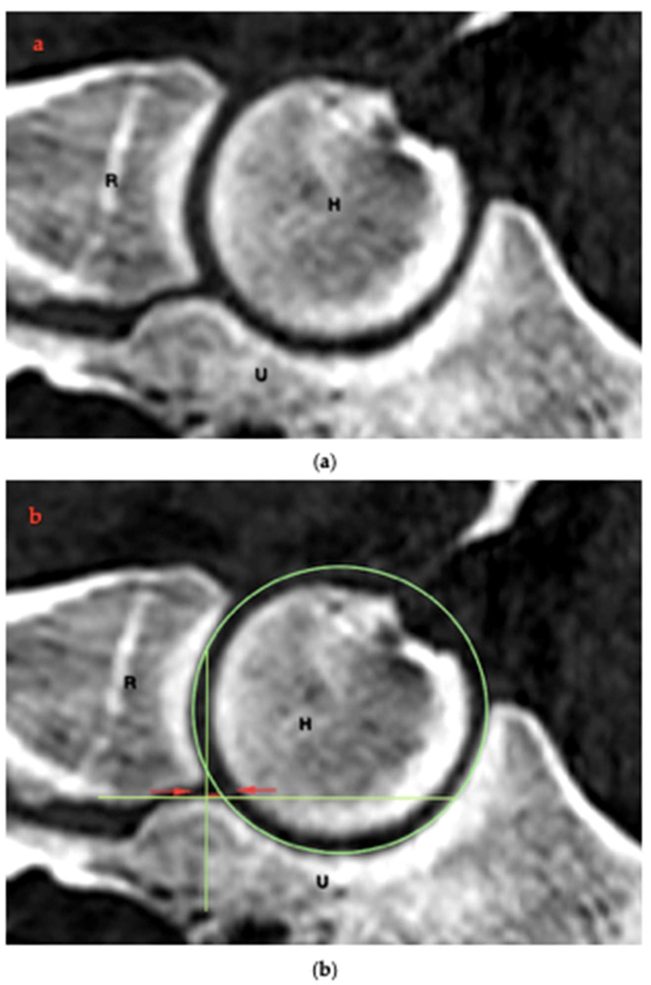 Animals 15 00921 g003 Animals 15 00921 g003