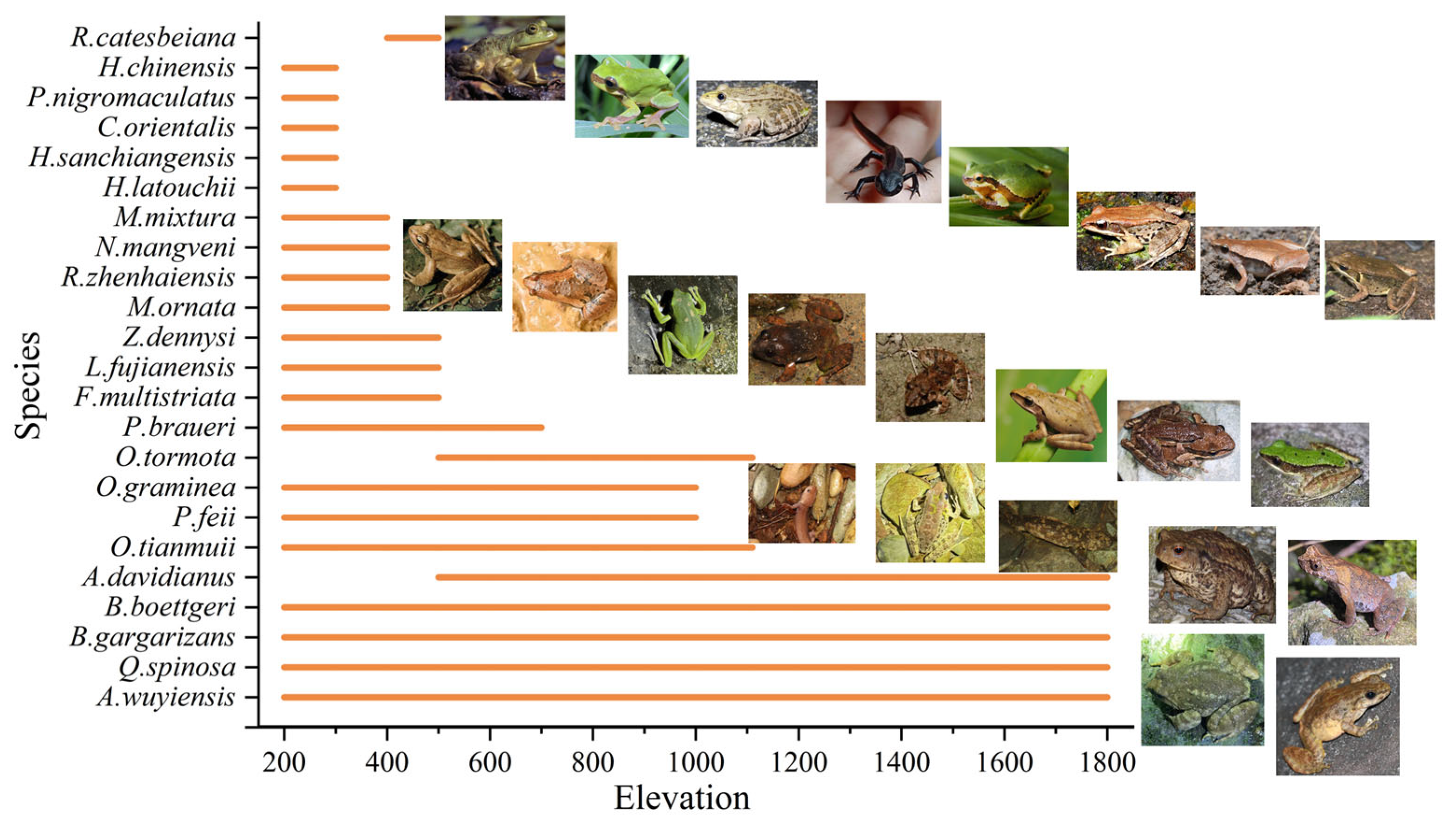 Animals 15 00938 g003