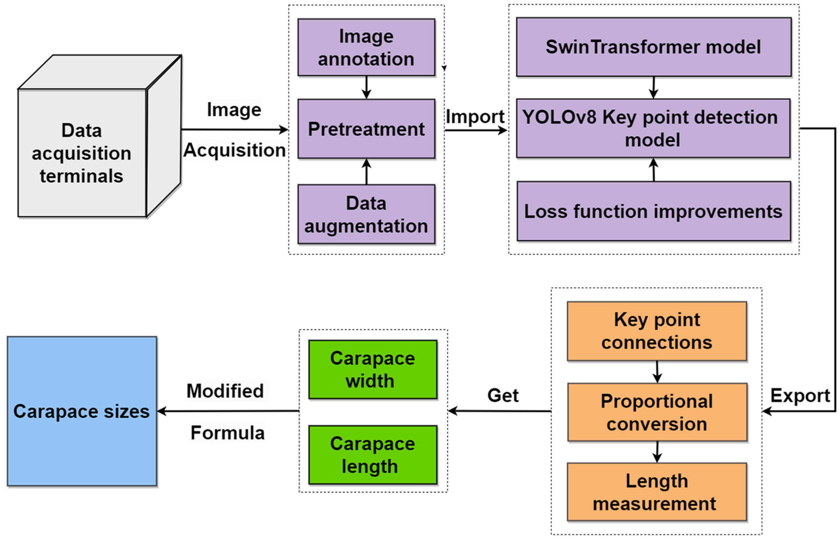 Animals 15 00941 g001