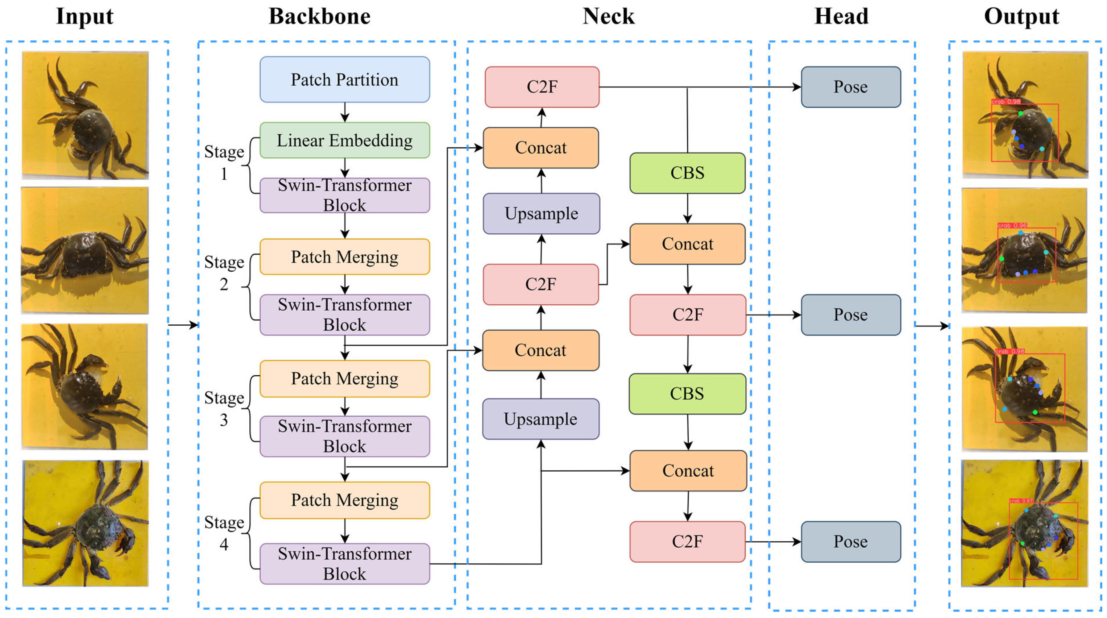 Animals 15 00941 g006