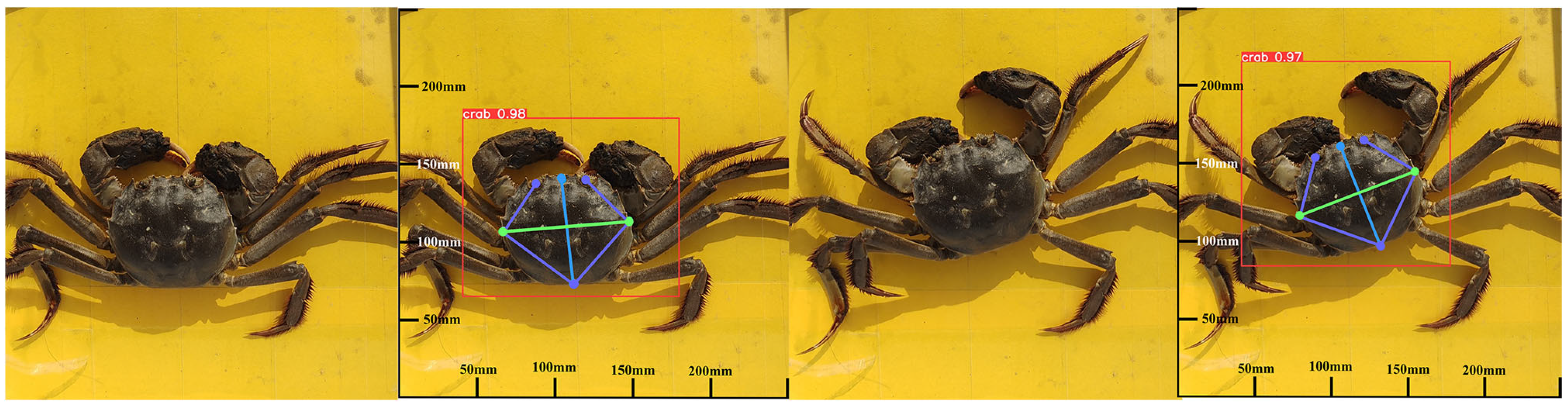 Animals 15 00941 g011