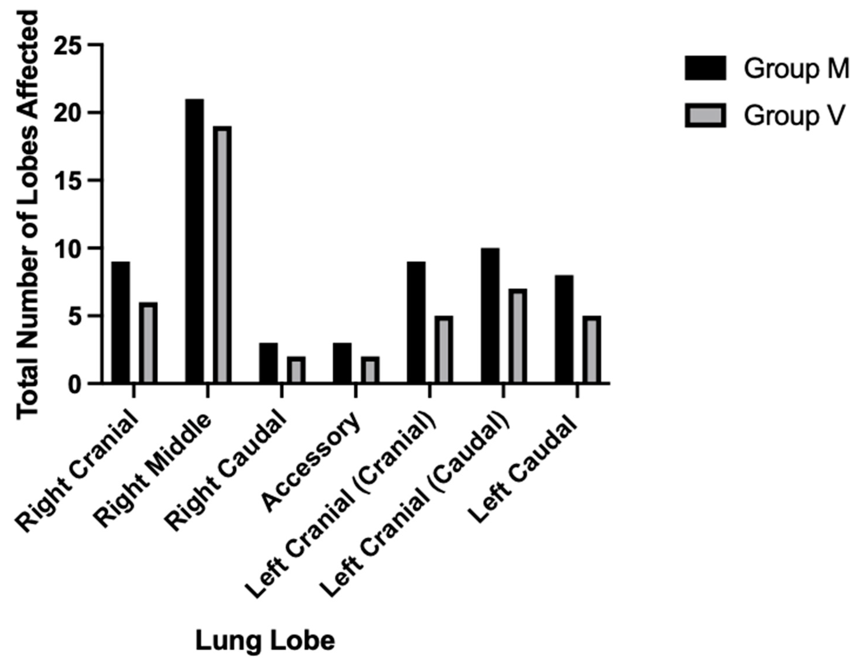 Animals 15 01014 g004