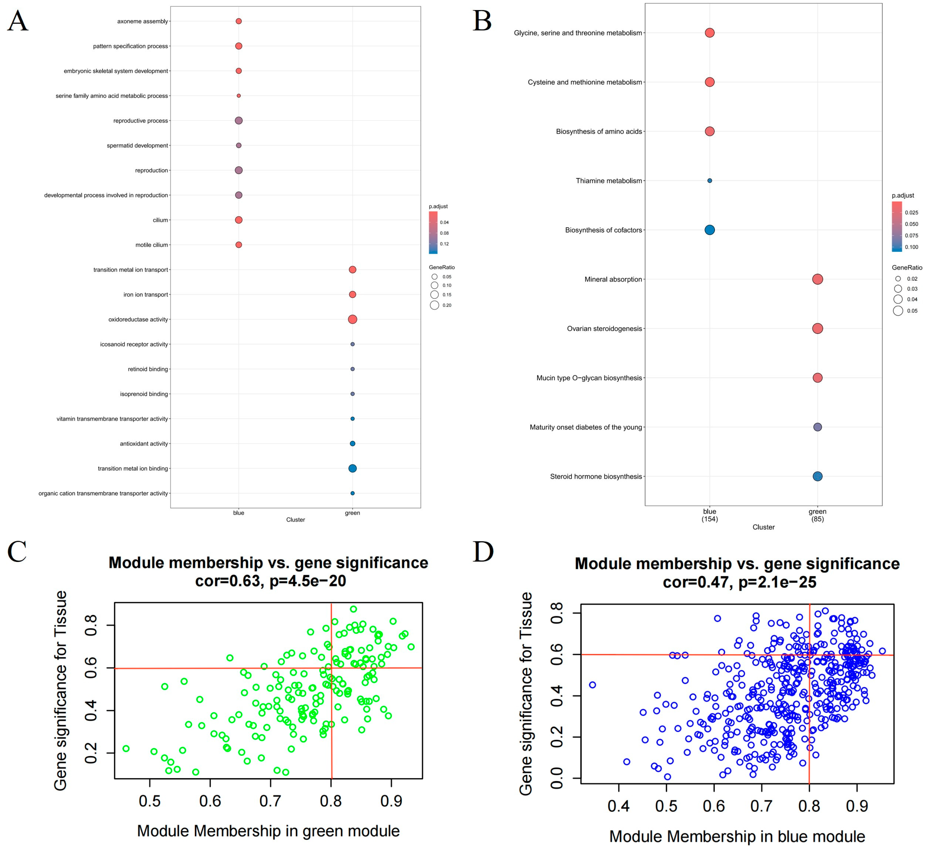 Animals 15 01038 g004