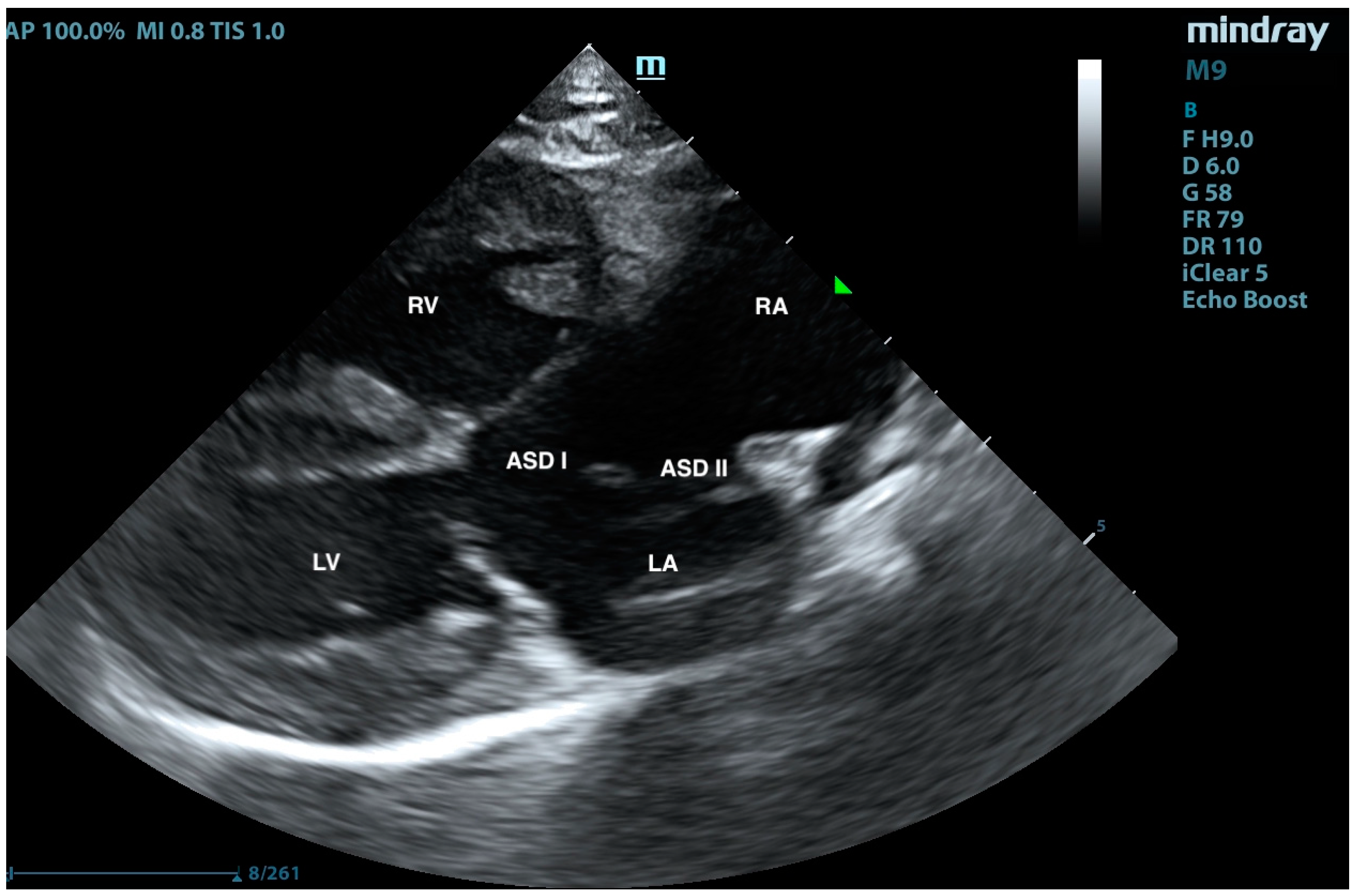 Animals 15 01044 g001