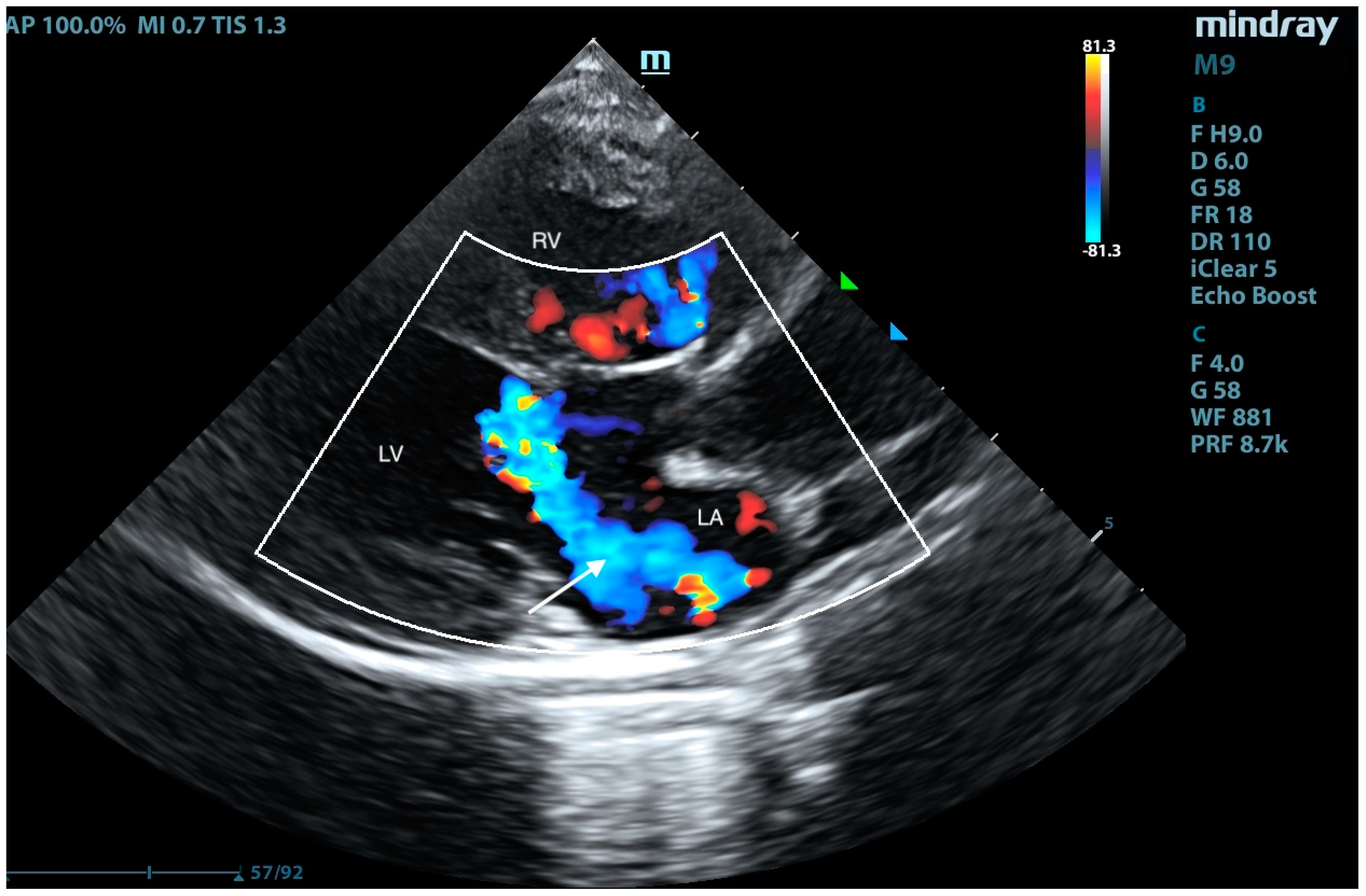 Animals 15 01044 g006