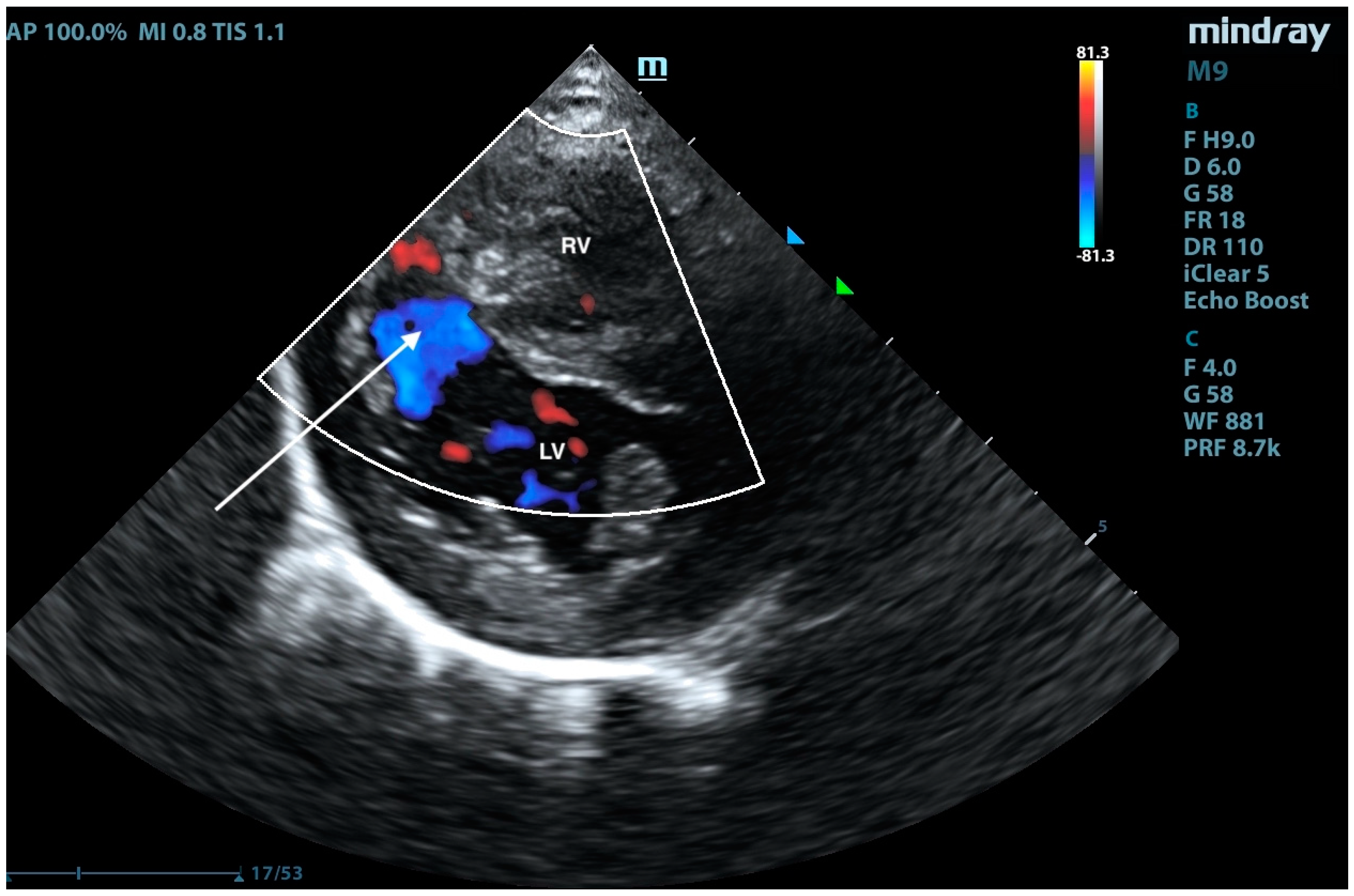 Animals 15 01044 g011
