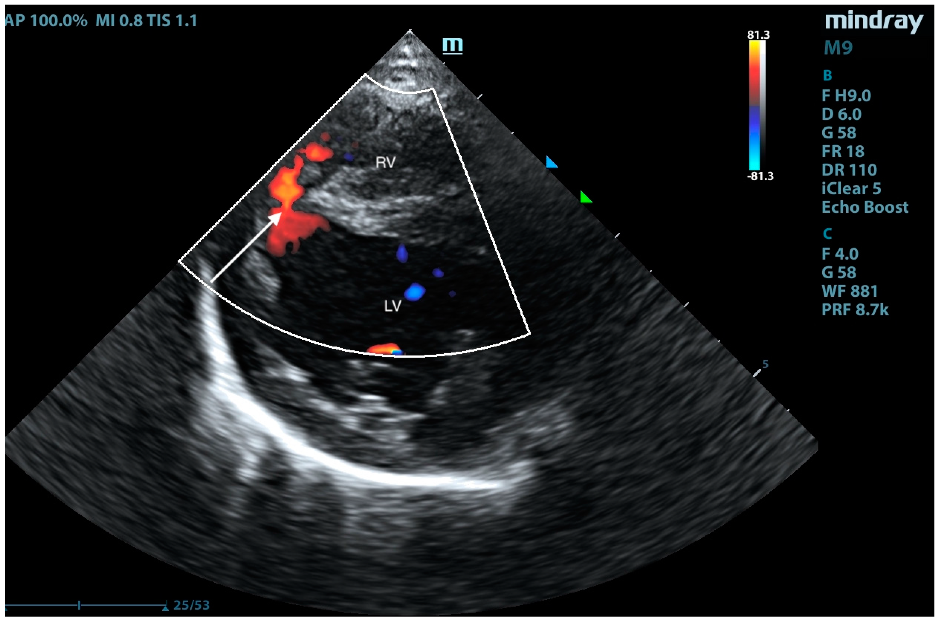 Animals 15 01044 g012