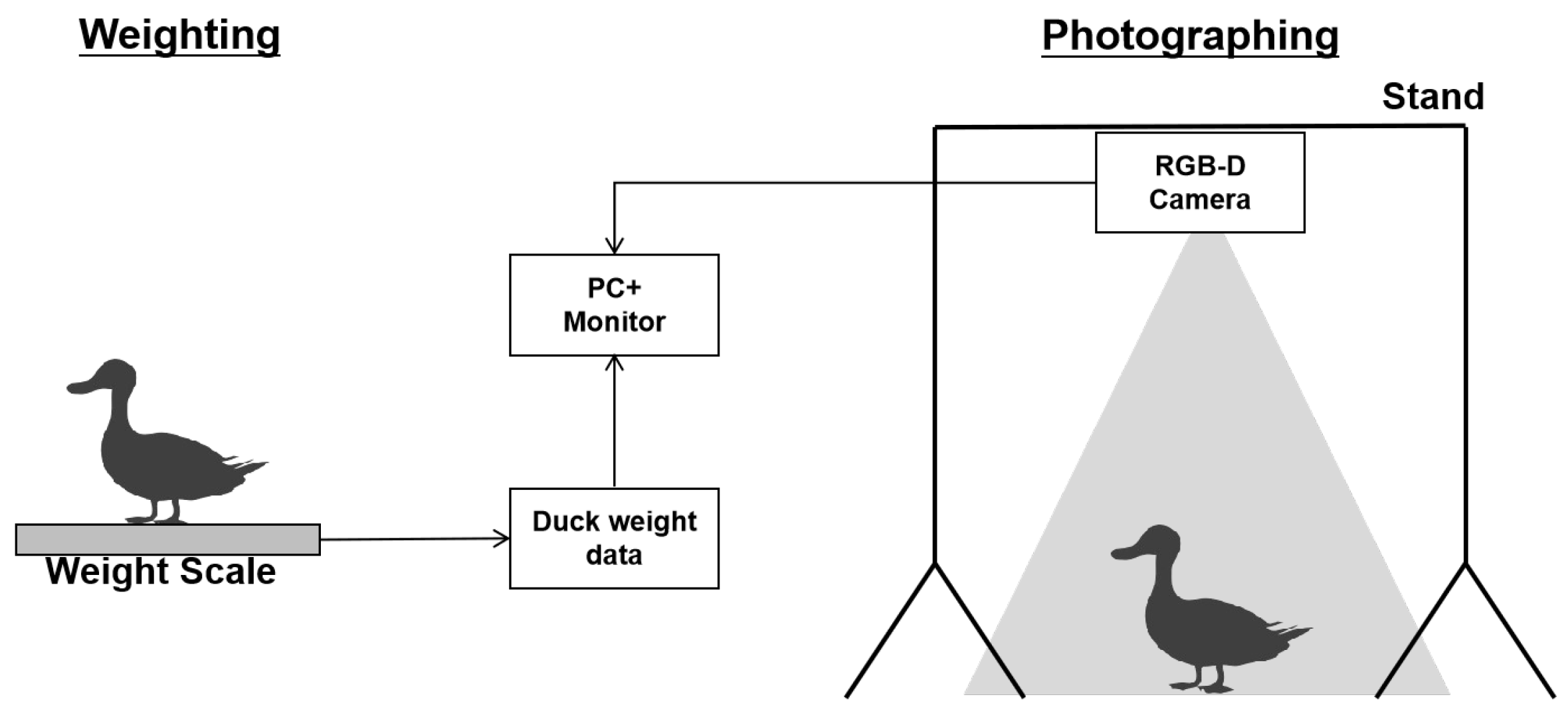 Animals 15 01062 g002