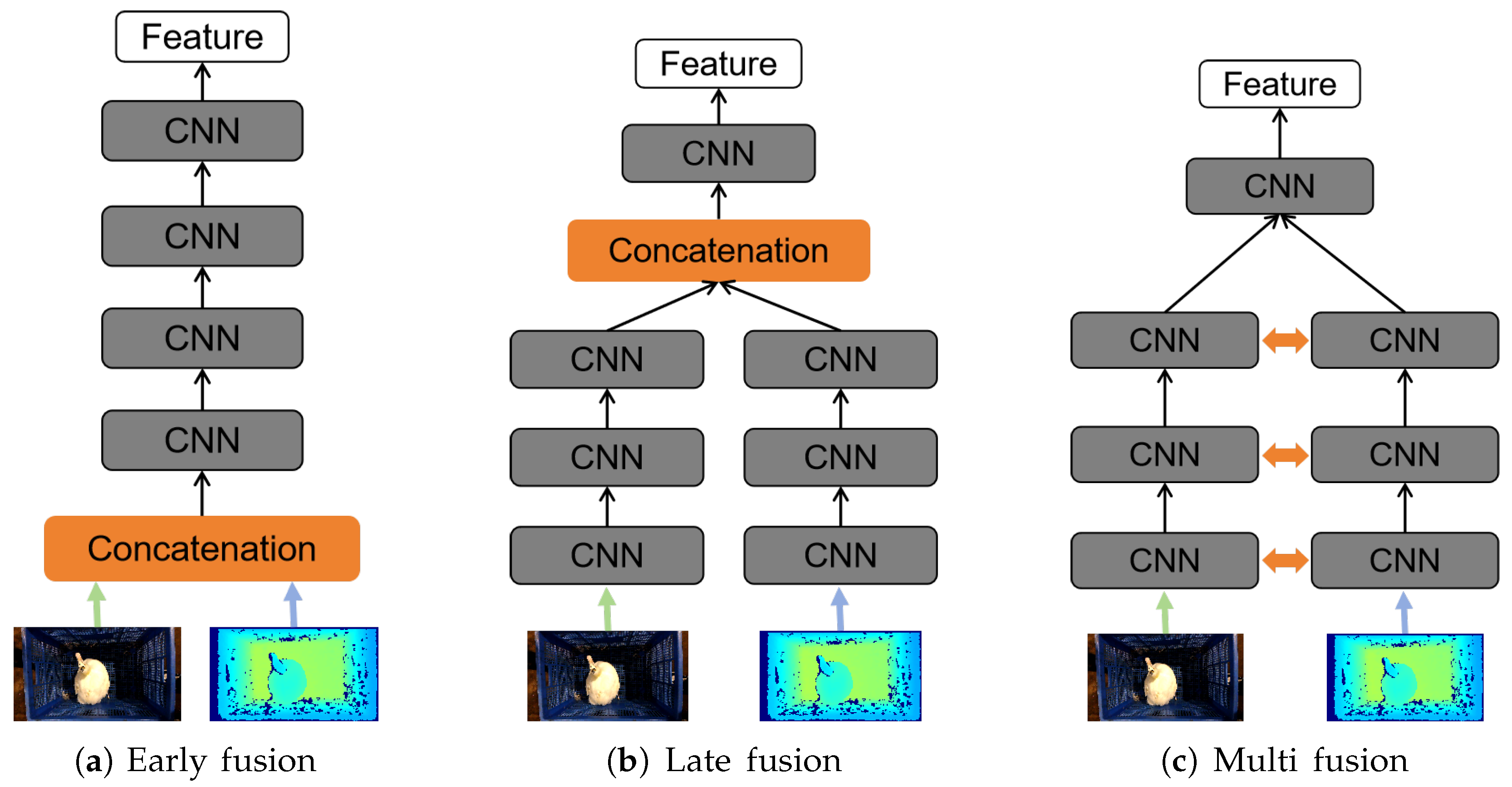 Animals 15 01062 g007