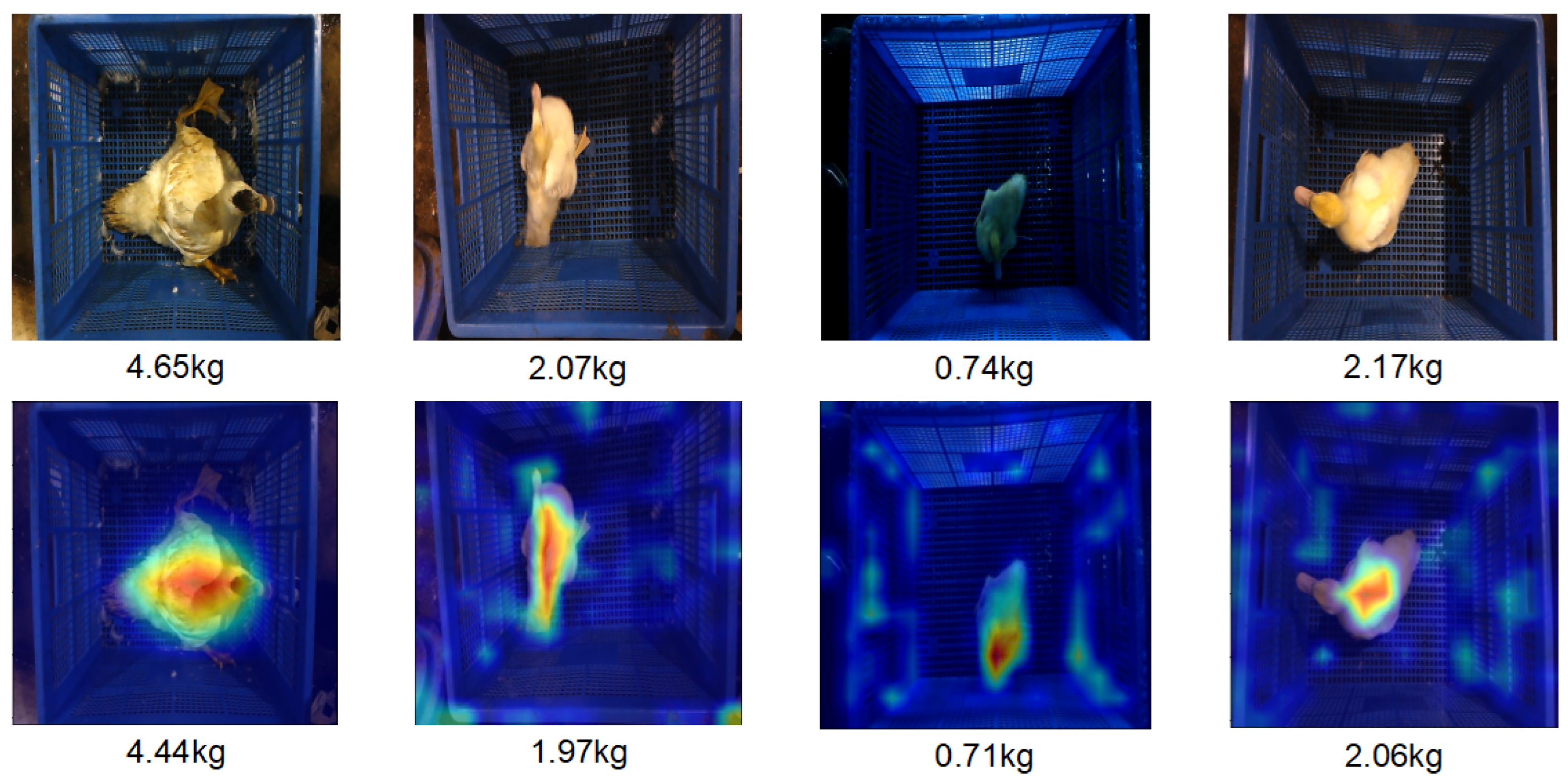 Animals 15 01062 g008