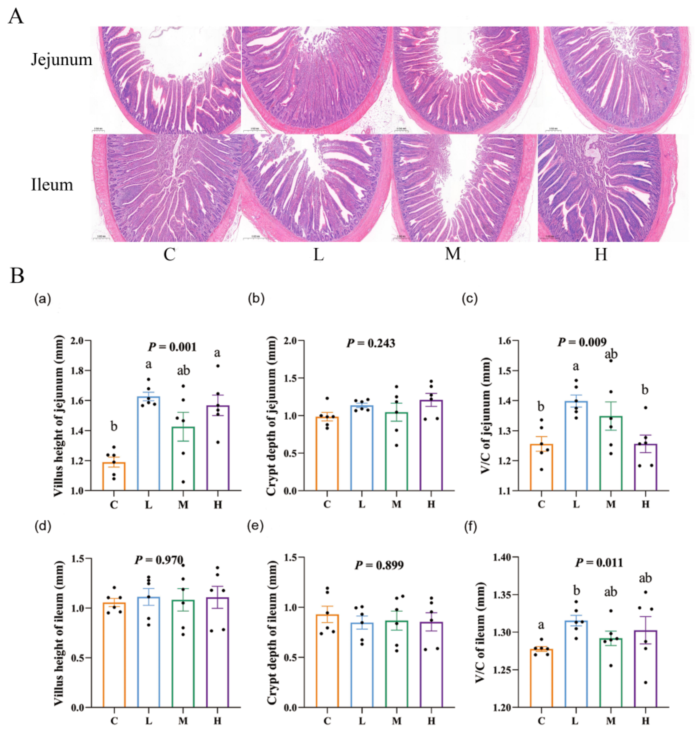 Animals 15 01085 g001