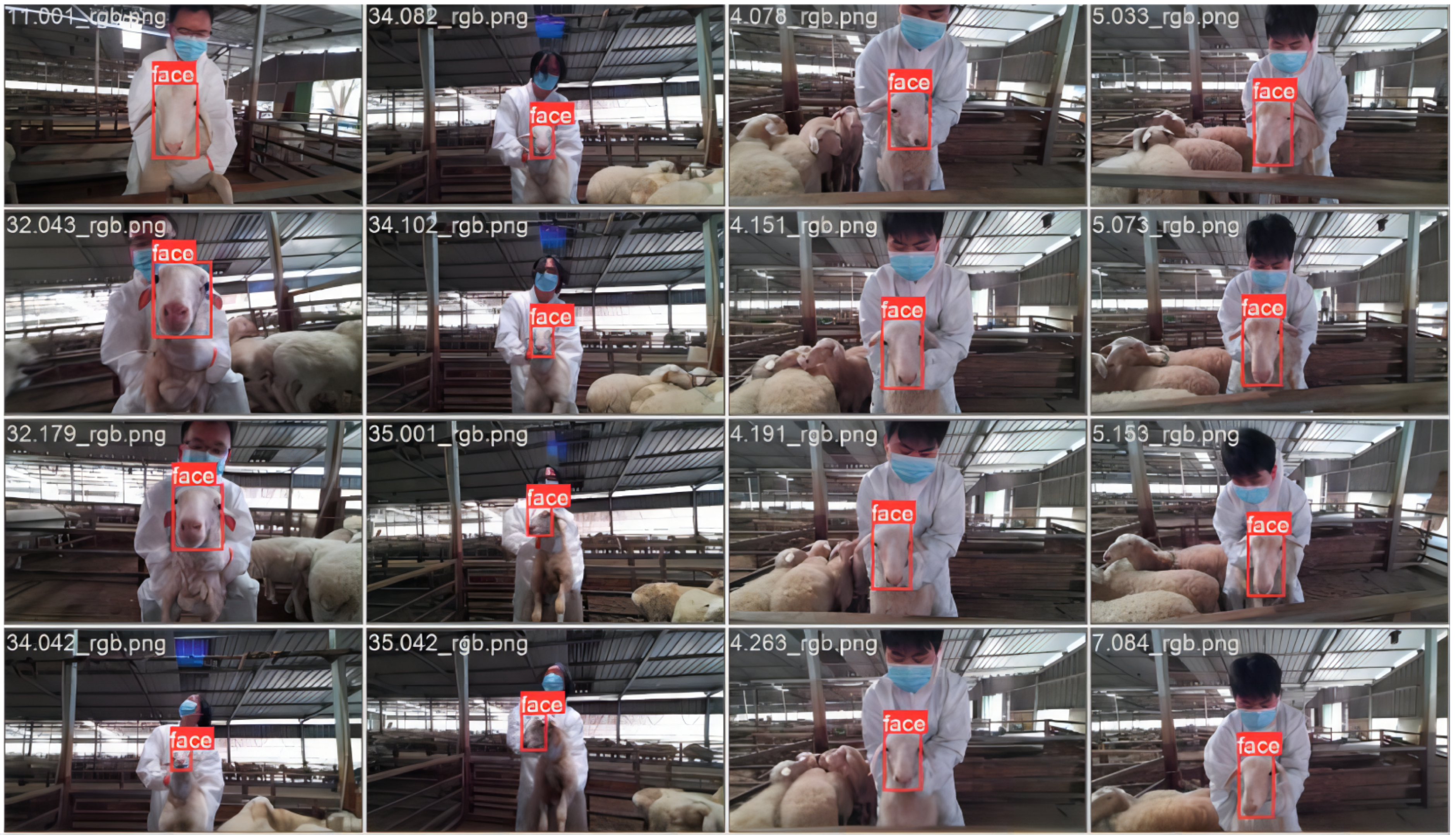Animals 15 01111 g002