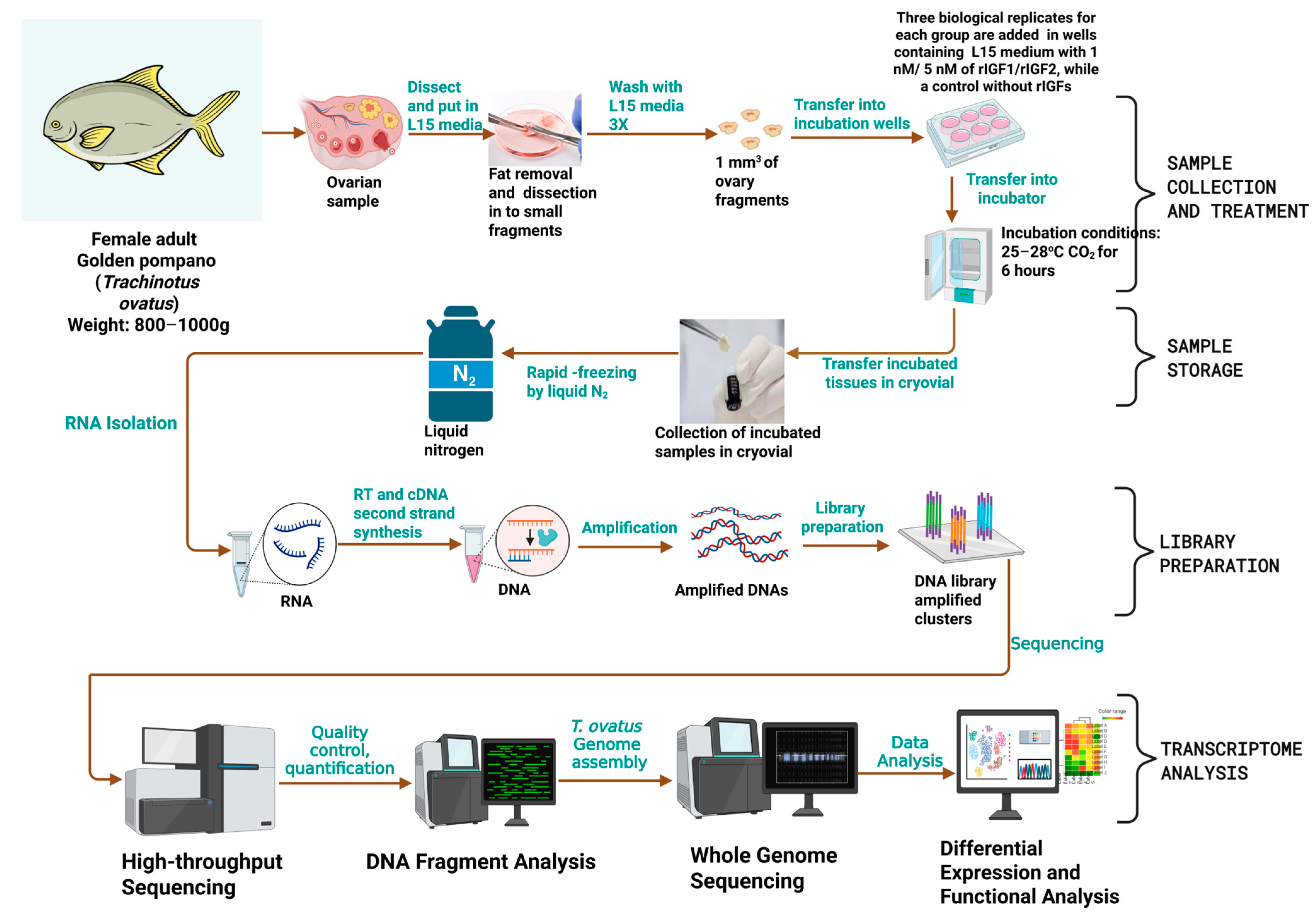 Animals 15 01134 g001