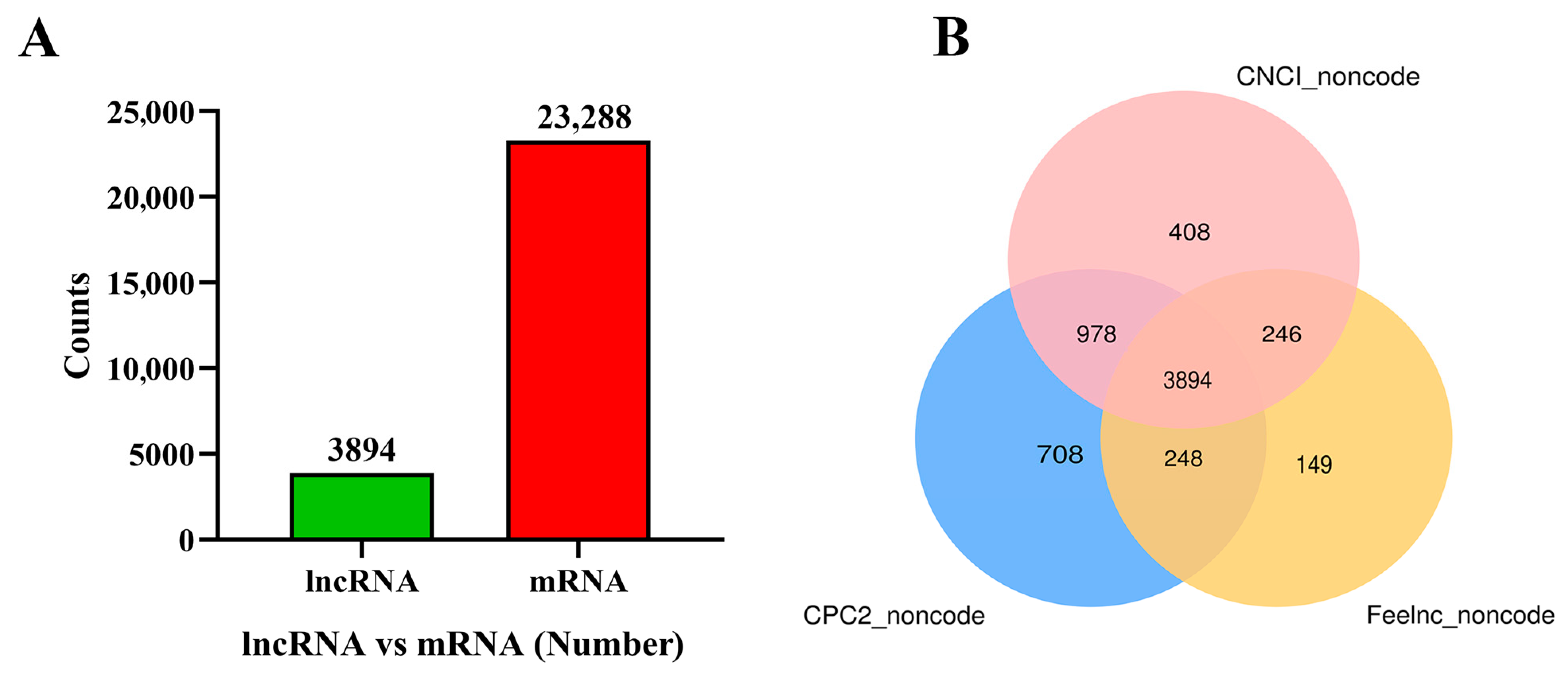 Animals 15 01134 g002