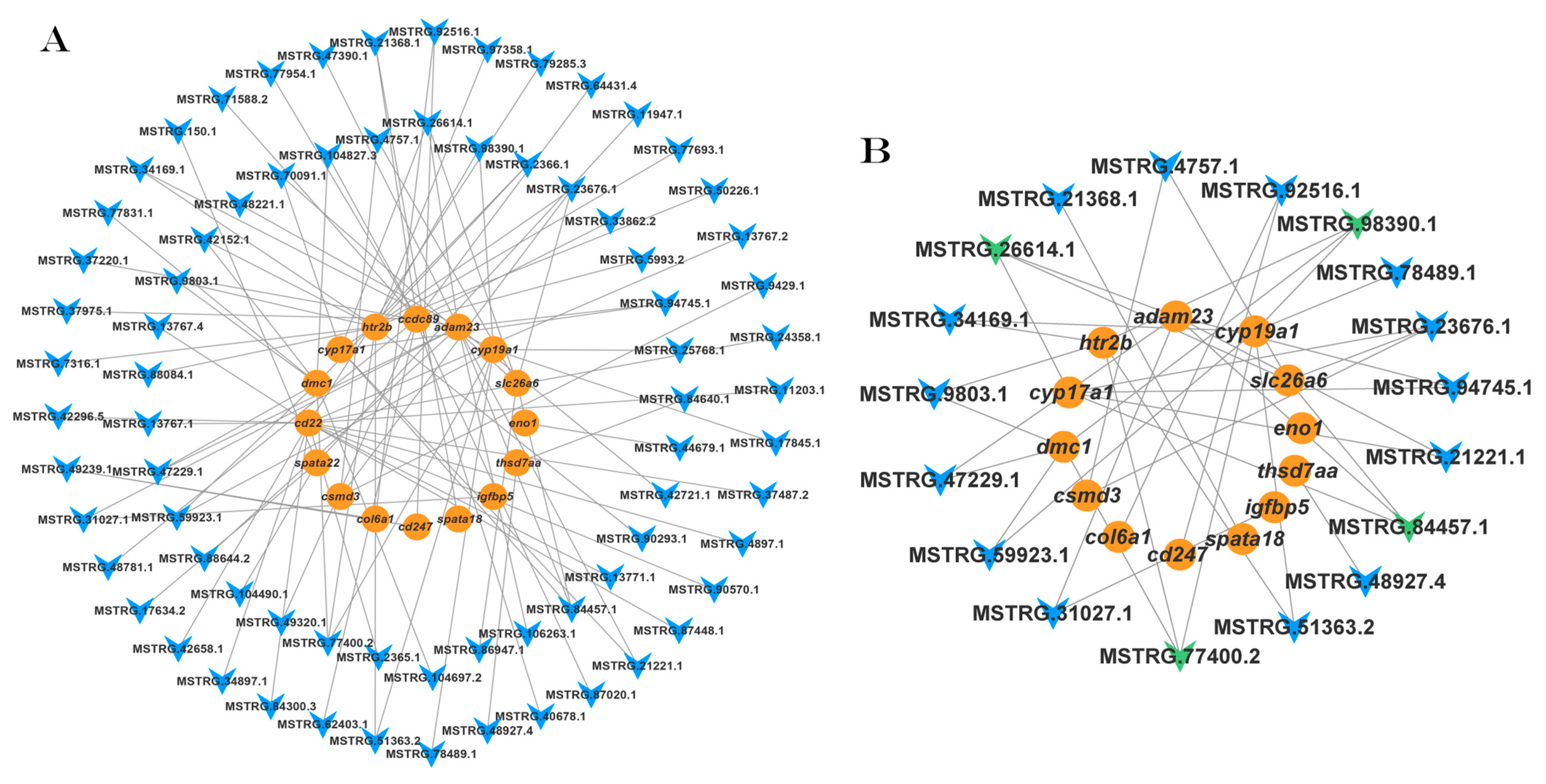 Animals 15 01134 g008