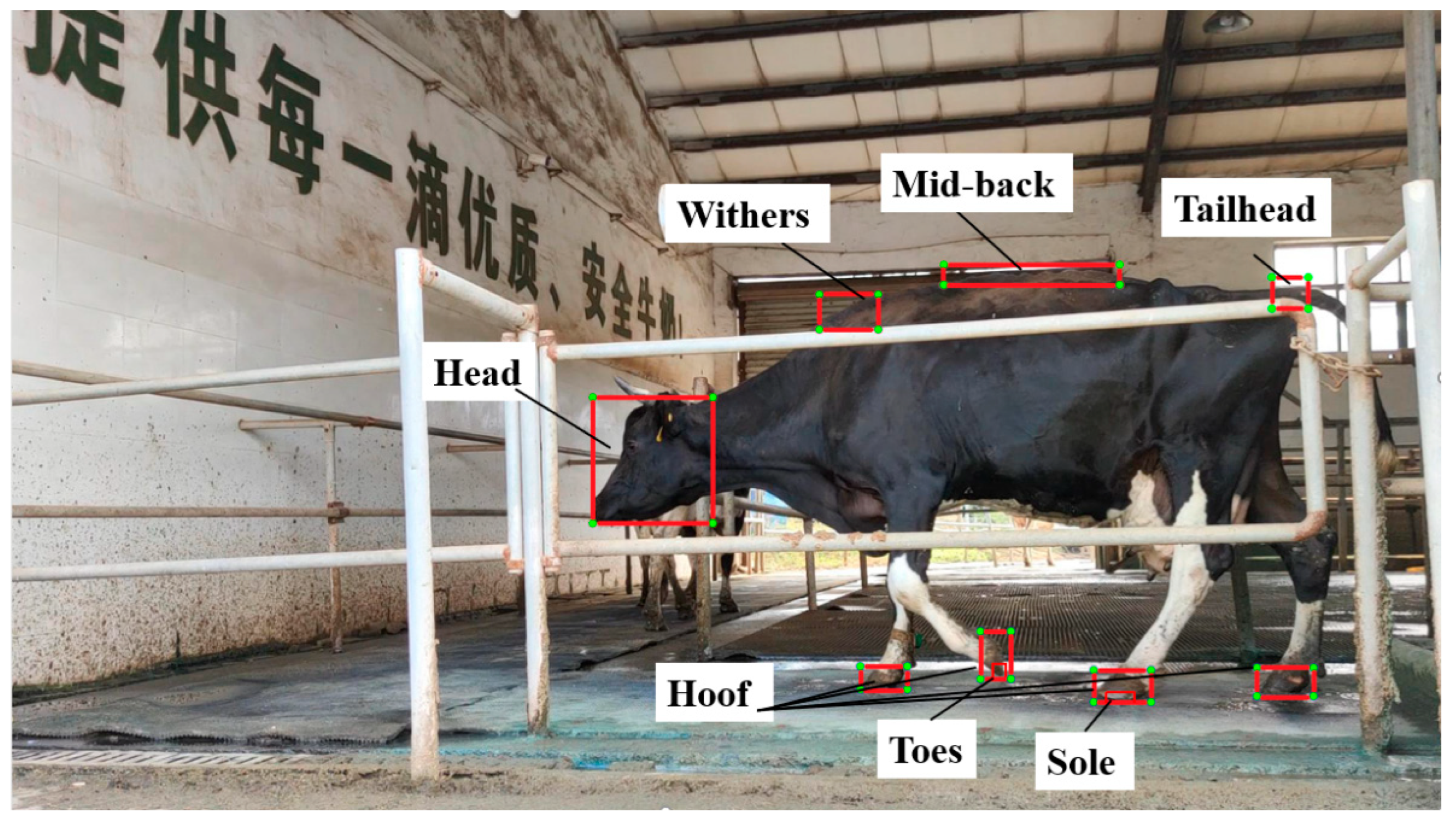 Animals 15 01144 g002