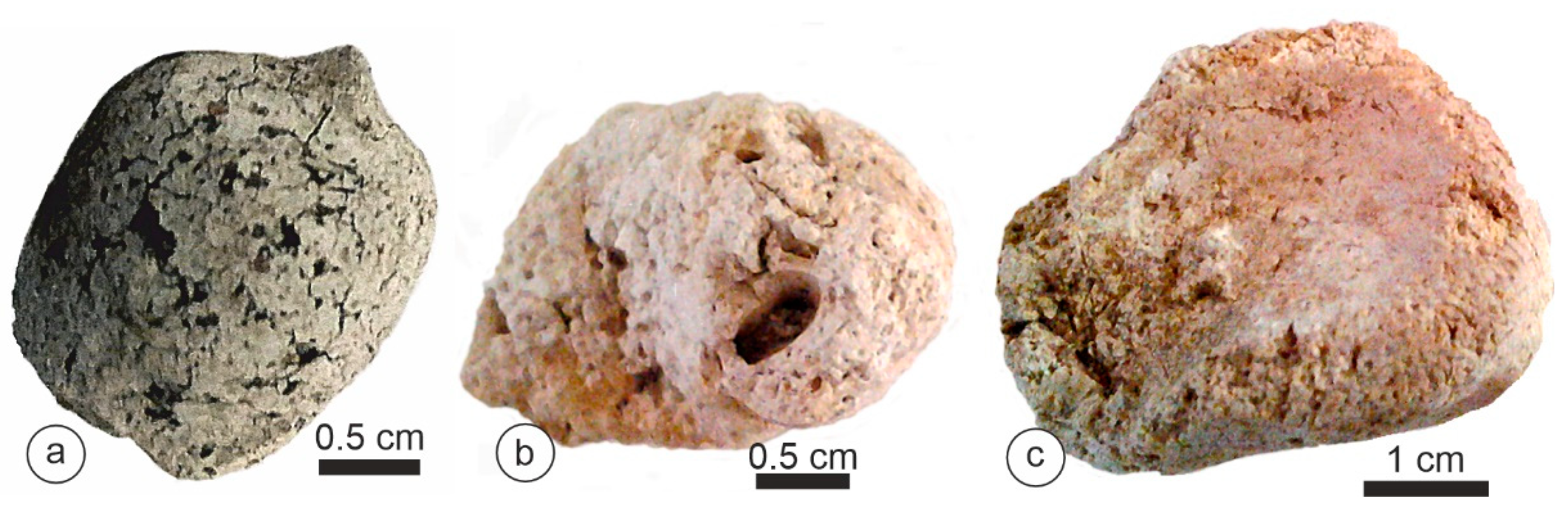 Animals 15 01145 g004