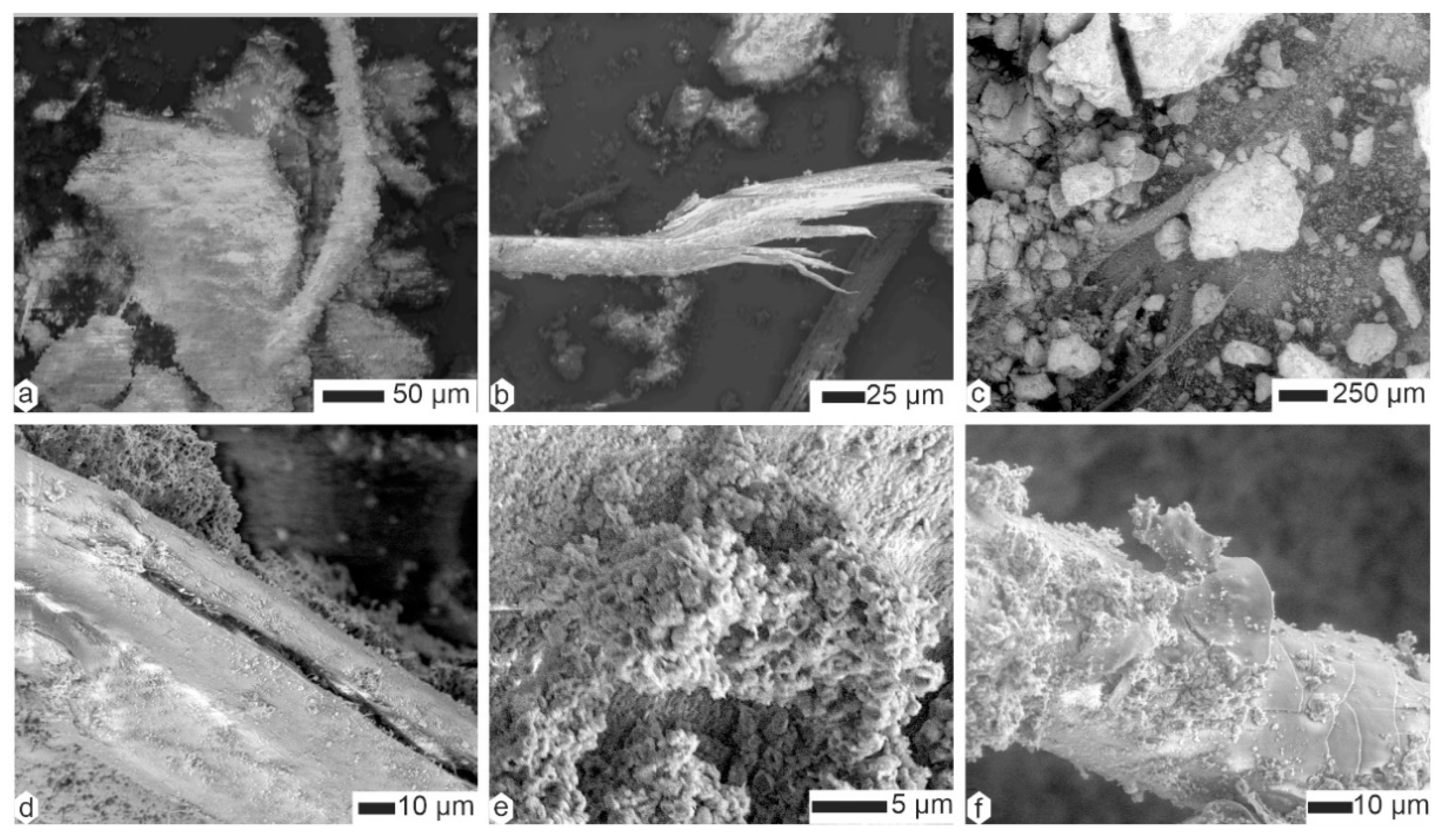 Animals 15 01145 g007